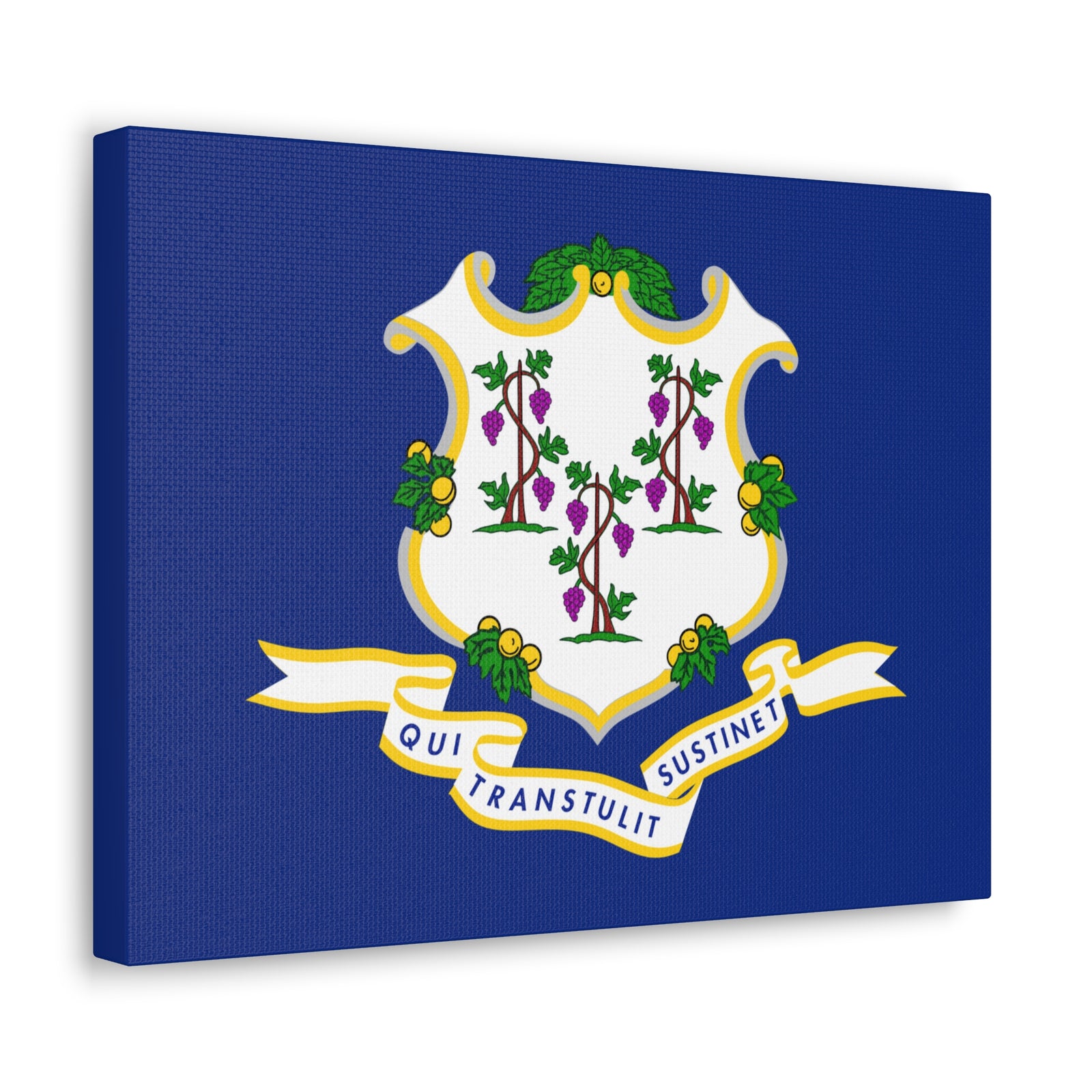 Connecticut State Flag Canvas Vibrant Wall Art Unframed Home Decor-Express Your Love Gifts