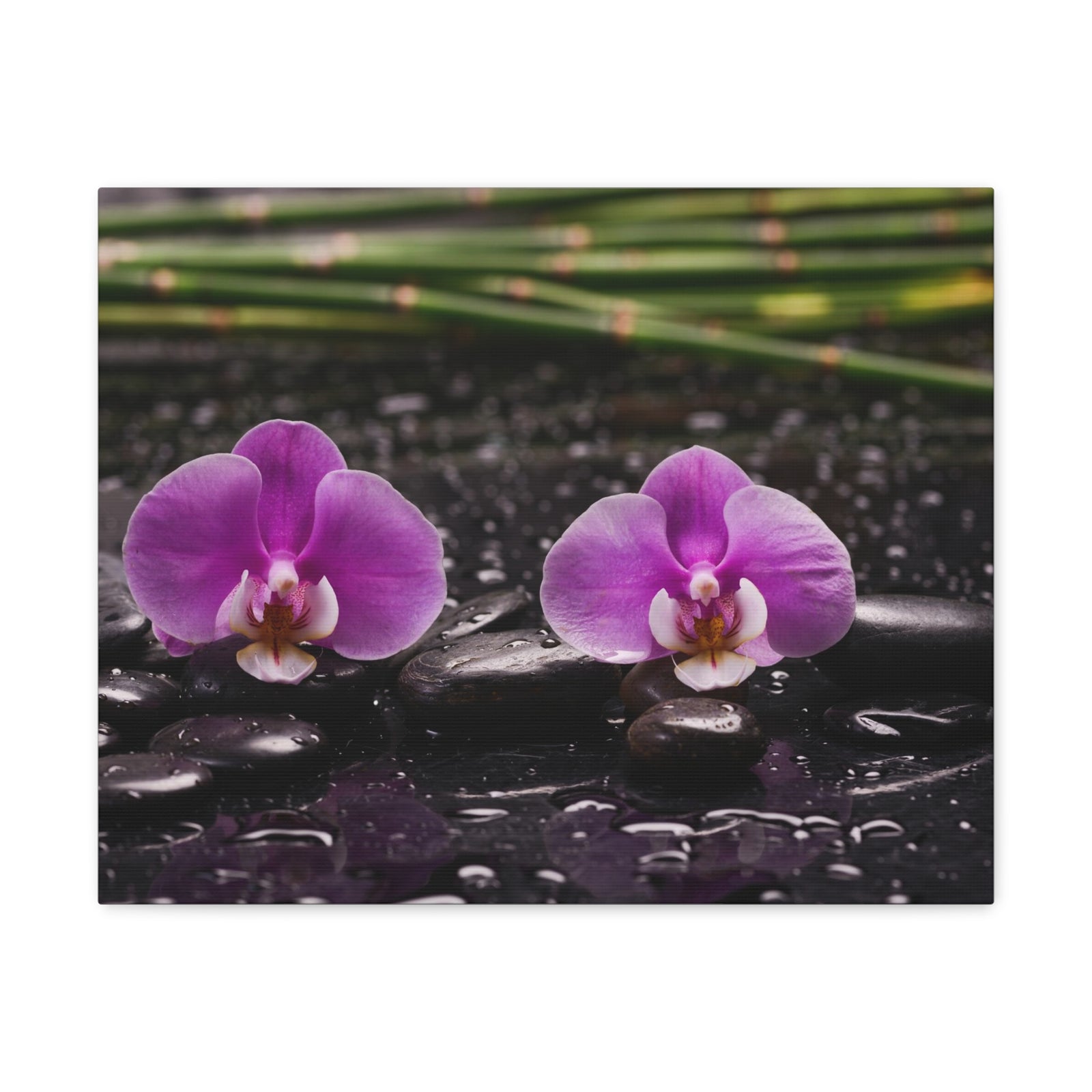 Two Pink Orchid Forest Floral Nature Photography Canvas Wall Art for Home Decor Ready-to-Hang-Express Your Love Gifts