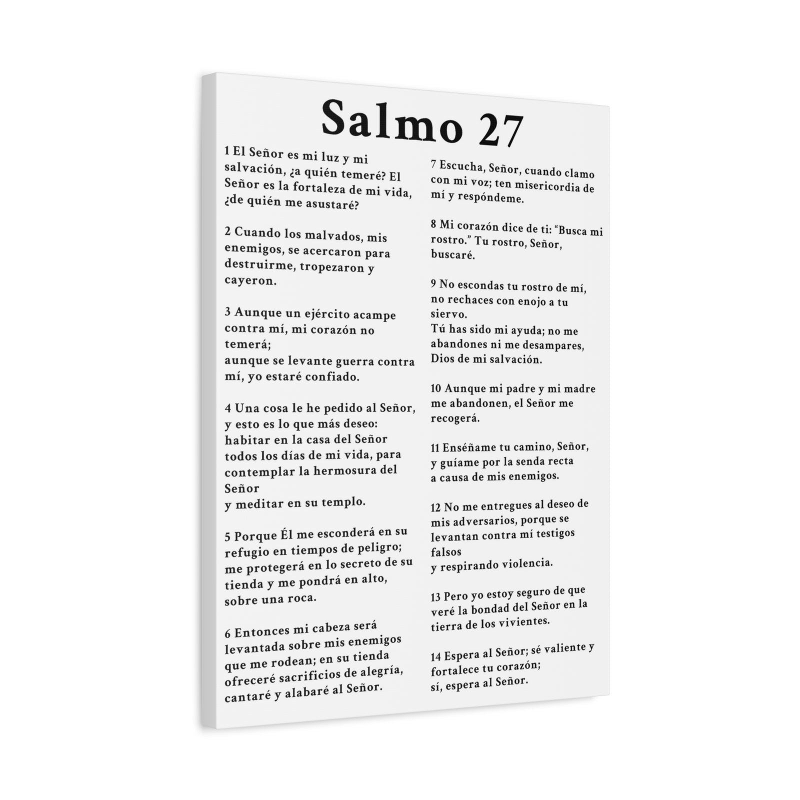 Scripture Walls Salmo 27 Chapter White Bible Canvas Christian Wall Art Ready to Hang Unframed-Express Your Love Gifts
