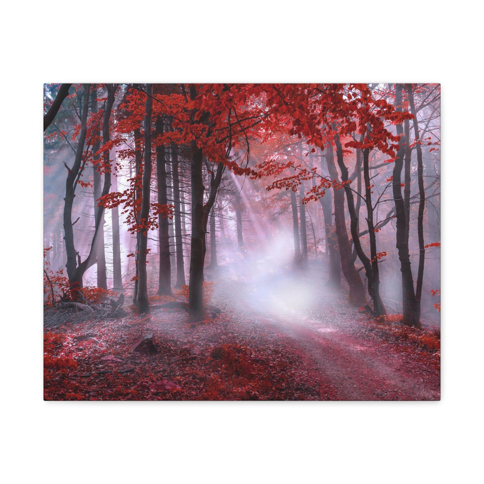 Foggy Autumn Forest Orange Leaves Nature Wilderness Photography Canvas Wall Art for Home Decor Ready-to-Hang-Express Your Love Gifts