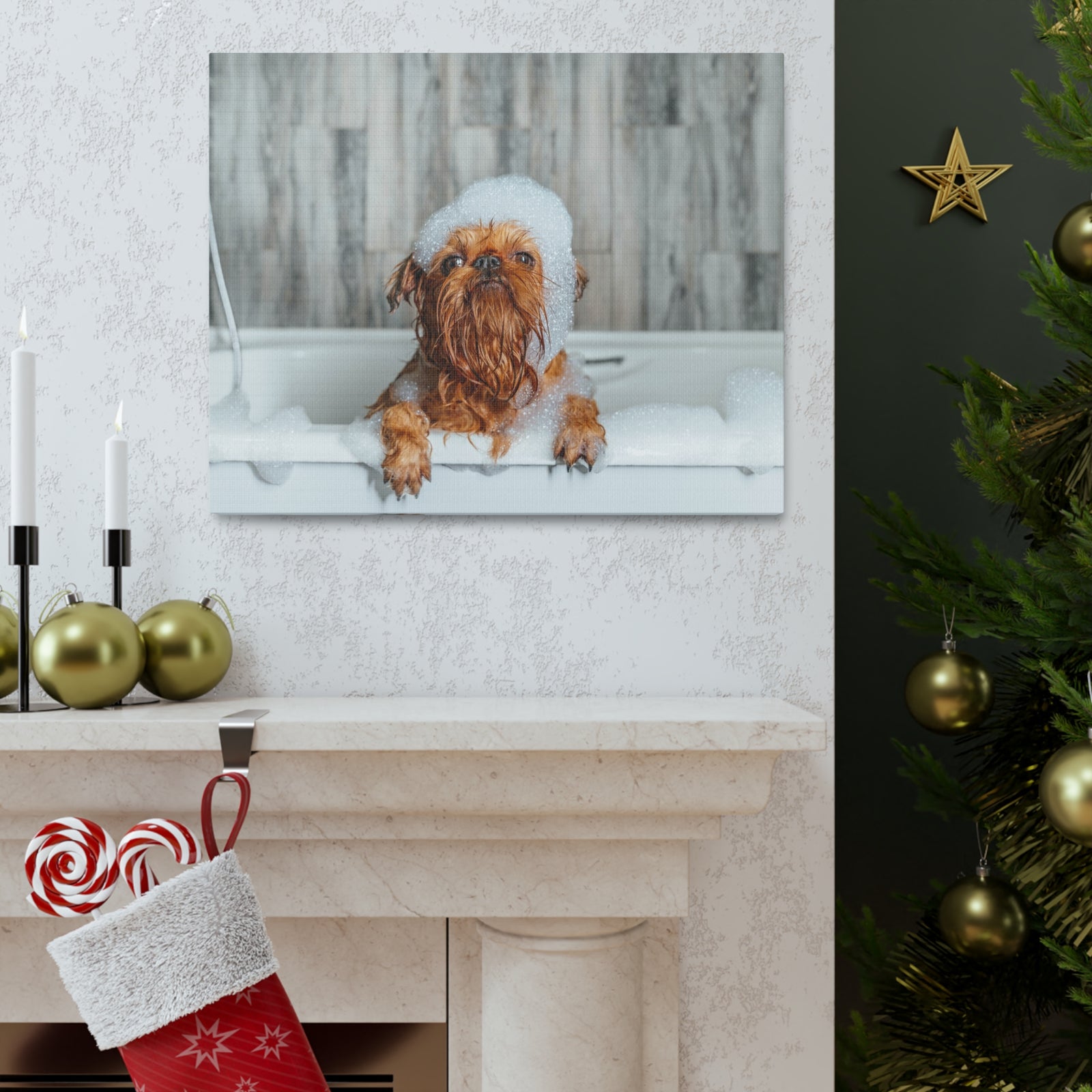 Cute Little Griffon Bathee Canvas Wall Art for Home Decor Ready-to-Hang-Express Your Love Gifts