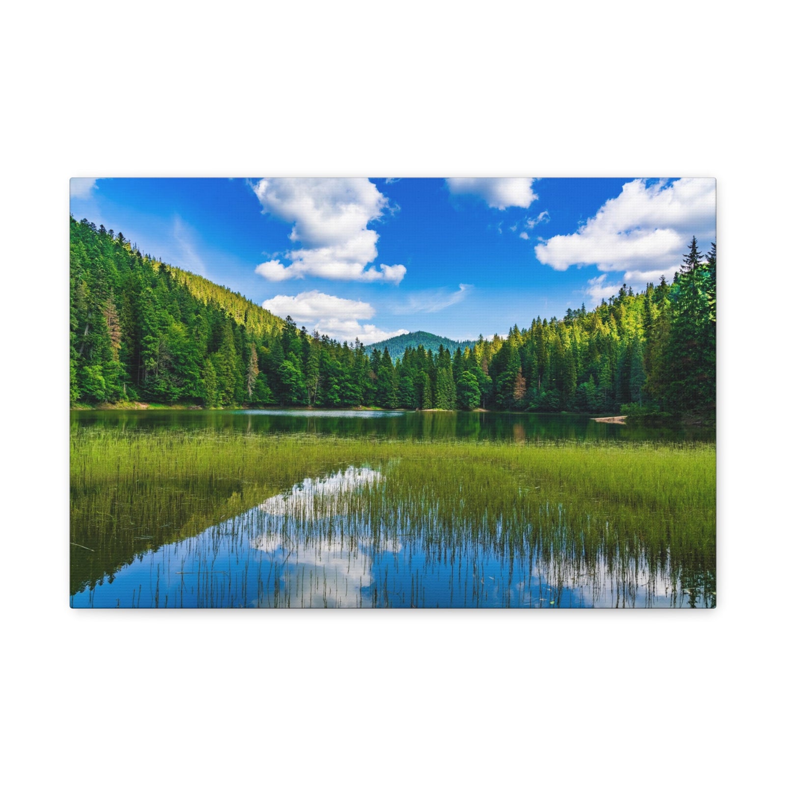 Teal Clear Forest LakeNature Wilderness Photography Canvas Wall Art for Home Decor Ready-to-Hang-Express Your Love Gifts
