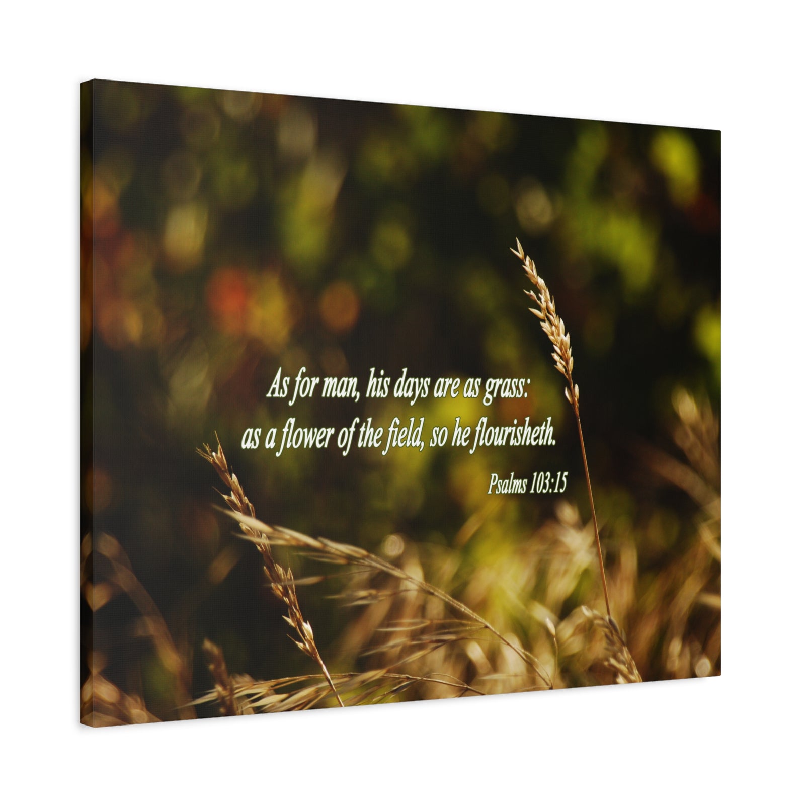 Scripture Walls Flower Of The Field Psalms 103:15 Bible Verse Canvas Christian Wall Art Bible Verse Print Ready To Hang-Express Your Love Gifts