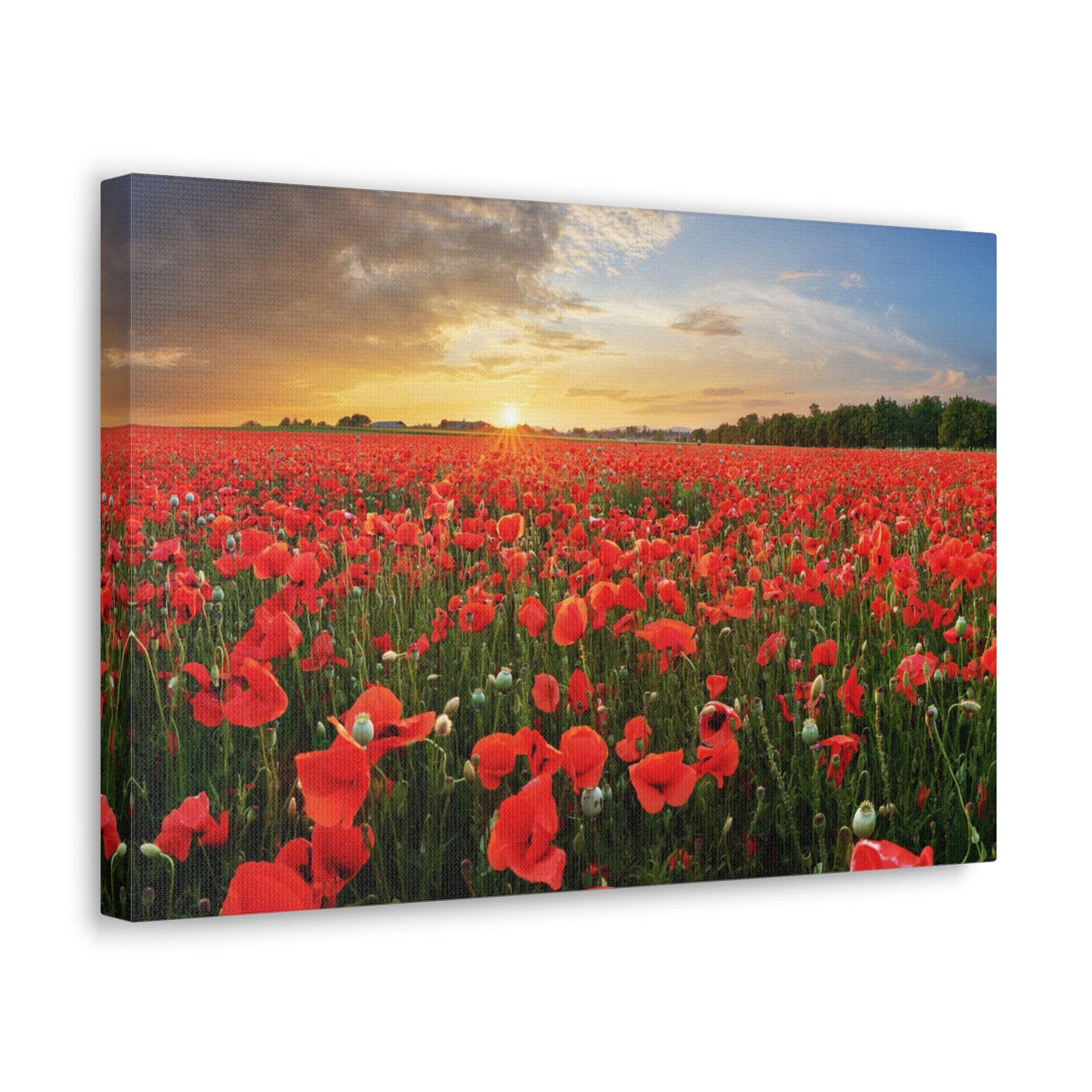 Sunset Over Poppy Field Flower Canvas Wall Art for Home Decor Ready-to-Hang-Express Your Love Gifts