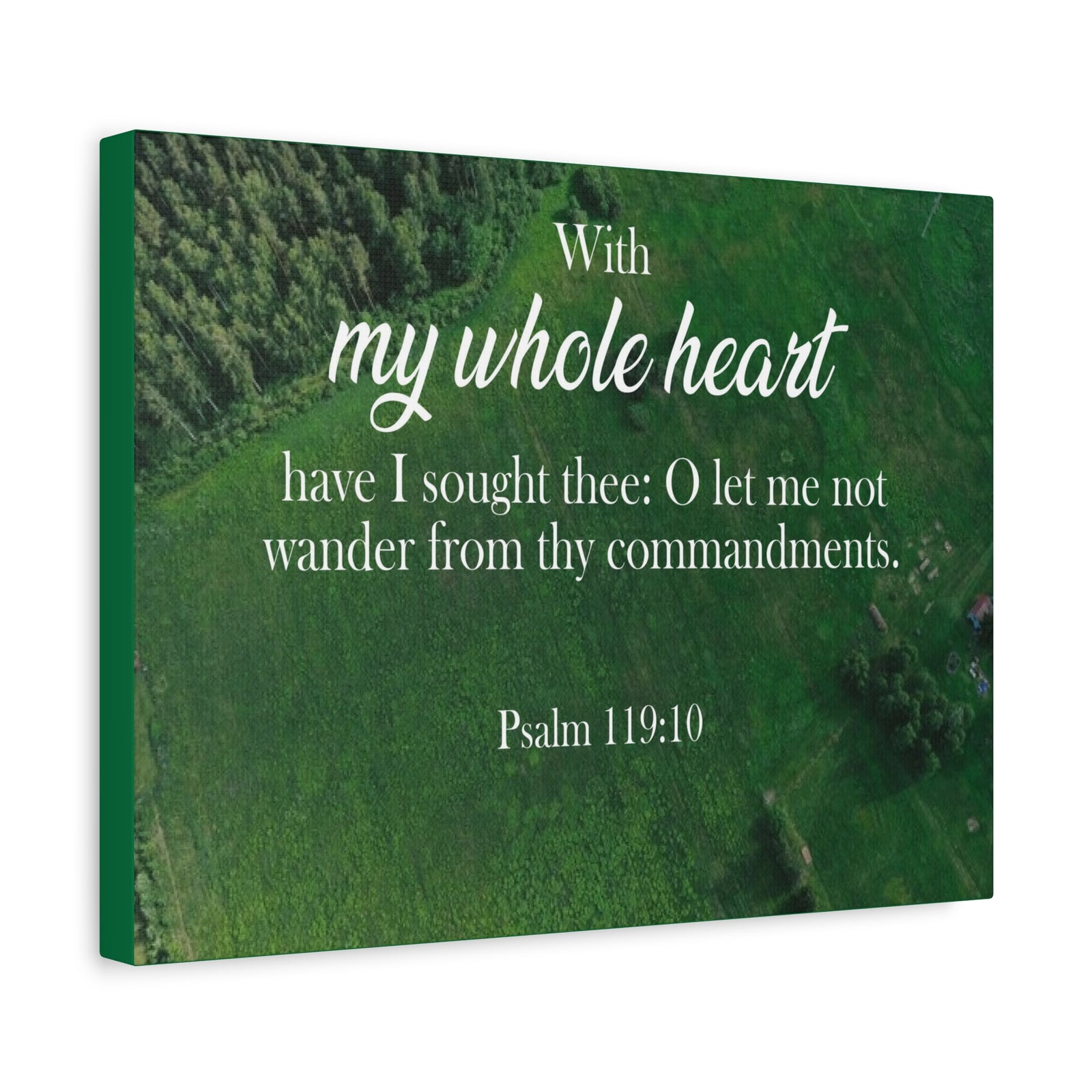 Scripture Walls Psalm 119:10 Whole Heart Bible Verse Canvas Christian Wall Art Ready to Hang Unframed-Express Your Love Gifts