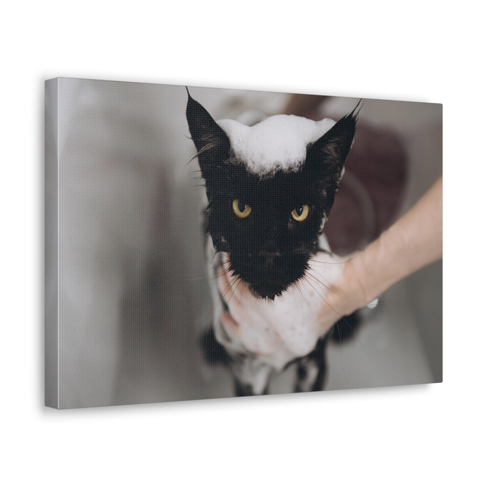 Cute Main Coon Bathee Canvas Wall Art for Home Decor Ready-to-Hang-Express Your Love Gifts