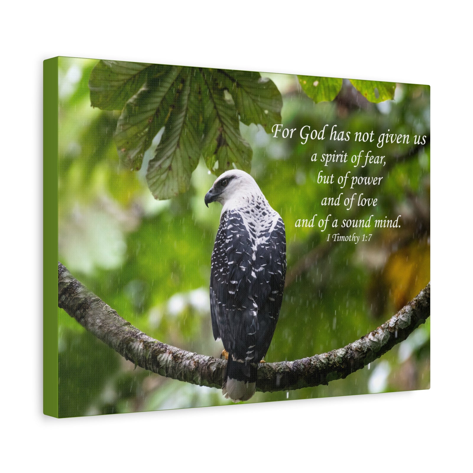 Scripture Canvas A Sound Mind 1 Timothy 1:7 Christian Wall Art Bible Verse Print Ready to Hang-Express Your Love Gifts