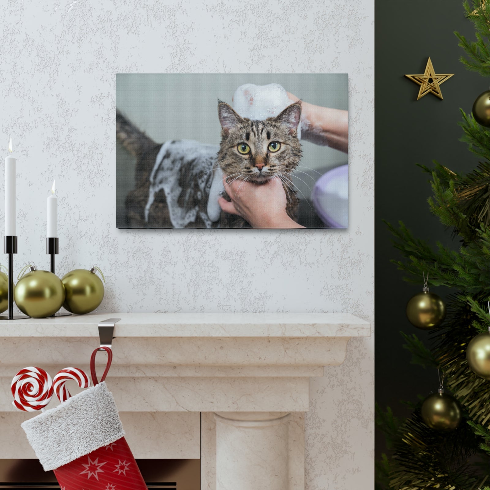 Cute Tabby Gray Cat Bathee Canvas Wall Art for Home Decor Ready-to-Hang-Express Your Love Gifts