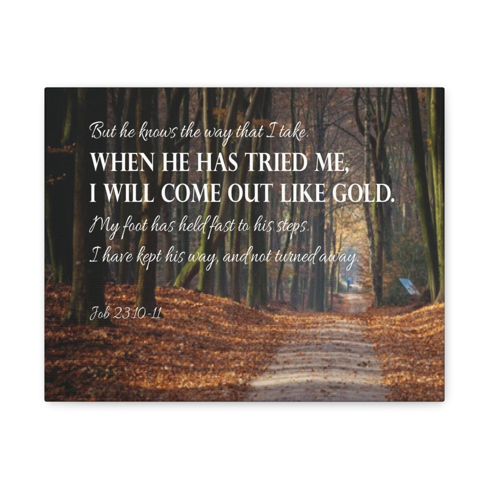 Bible Verse Canvas Come Out Like Gold Job 23:10-11 Scripture Wall Art Christian Home Decor-Express Your Love Gifts