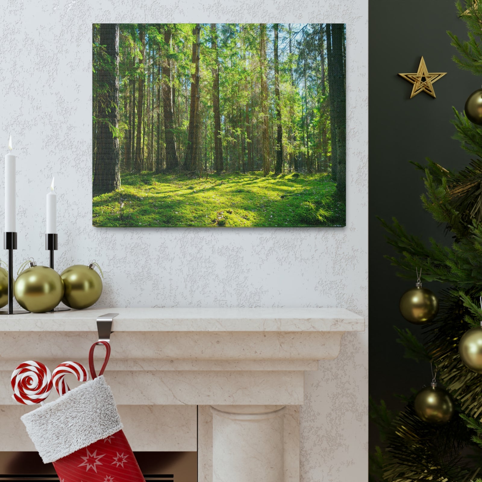 Sunlight Green Forest Tree Nature Wilderness Photography Canvas Wall Art for Home Decor Ready-to-Hang-Express Your Love Gifts
