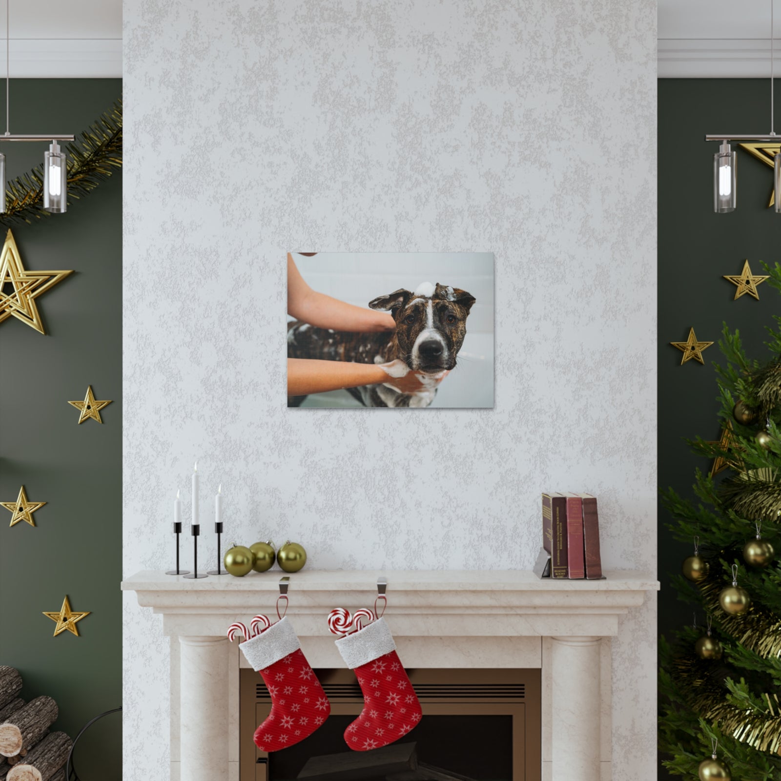 Cute American Staffordshire Terrier Bathee Canvas Wall Art for Home Decor Ready-to-Hang-Express Your Love Gifts