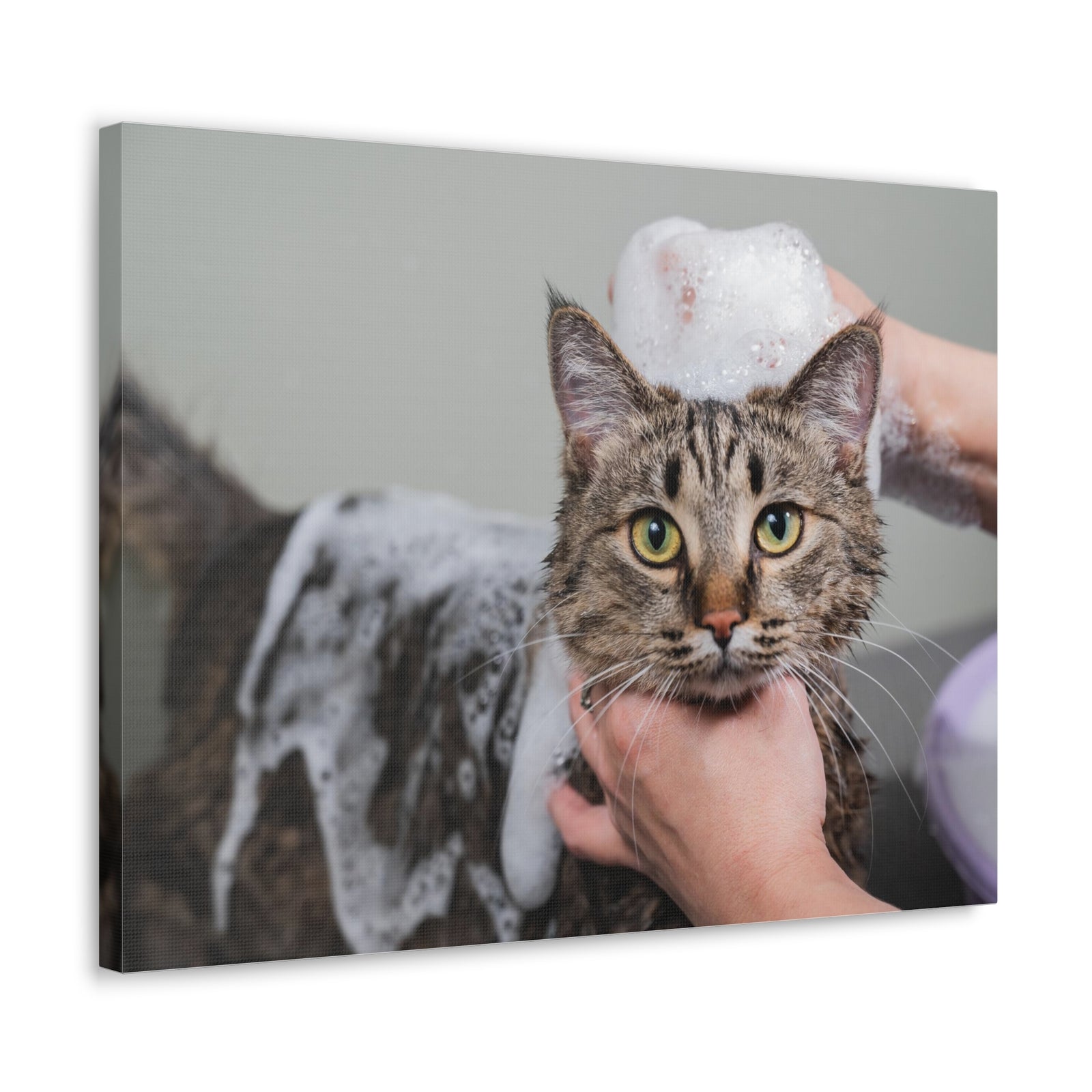 Cute Gray Cat Bath Canvas Wall Art for Home Decor Ready-to-Hang-Express Your Love Gifts