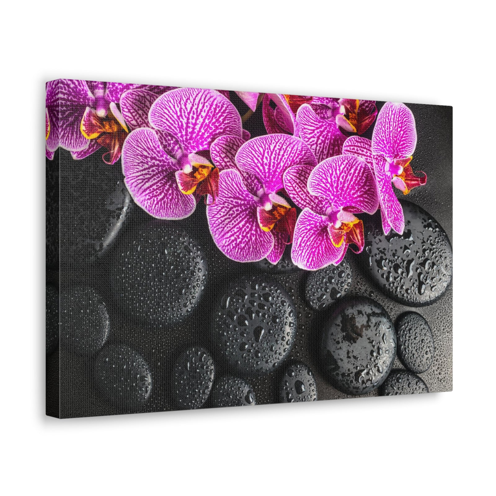 Violet Orchid on Stones Forest Floral Nature Photography Canvas Wall Art for Home Decor Ready-to-Hang-Express Your Love Gifts