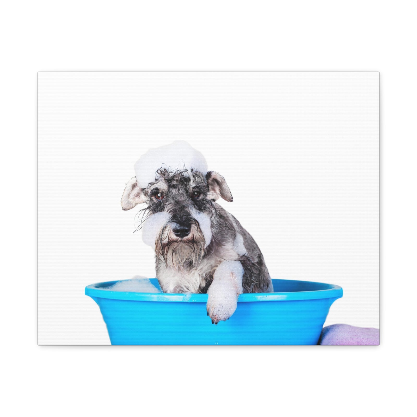 Cute Schnauzer Bath Canvas Wall Art for Home Decor Ready-to-Hang-Express Your Love Gifts