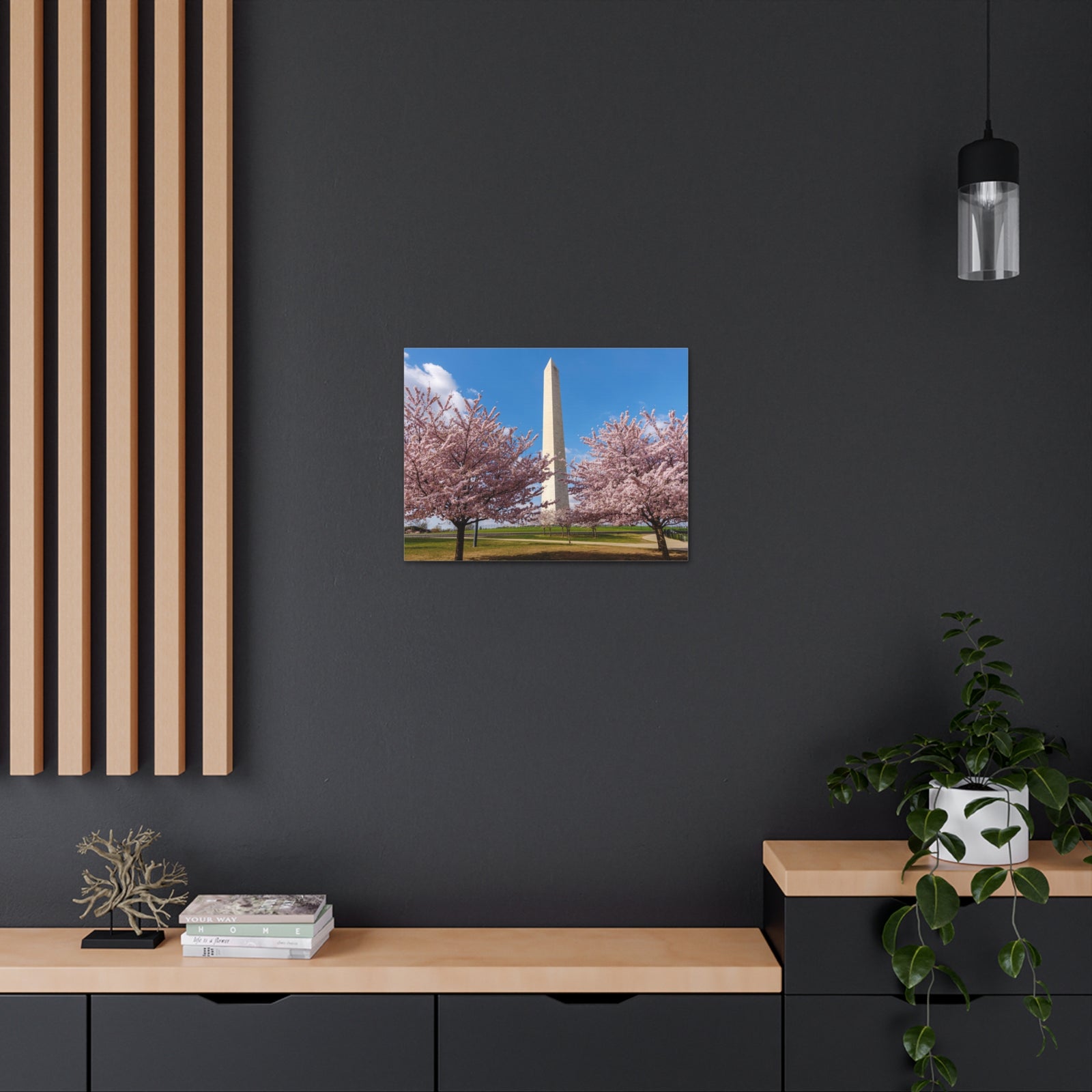 Mall Washington Blossom Festival Nature Wilderness Photography Canvas Wall Art for Home Decor Ready-to-Hang-Express Your Love Gifts