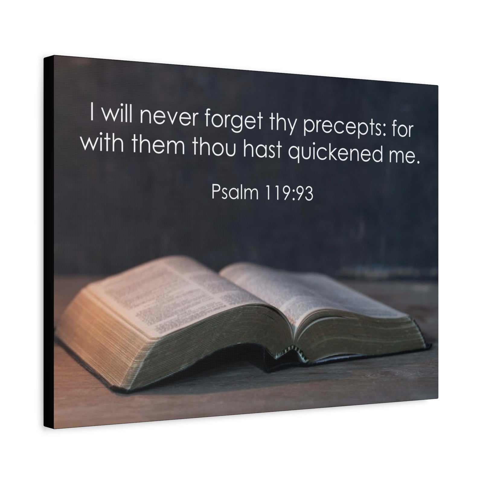 Bible Verse Canvas Never Forget Thy Precepts Psalm 119:93 Christian Home Décor Wall Art Scripture Ready to Hang Faith Print-Express Your Love Gifts