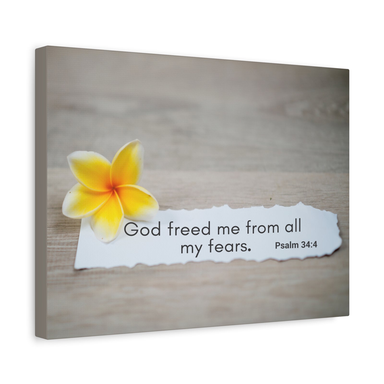 Scripture Walls God Freed Me Psalm 34:4 Bible Verse Canvas Christian Wall Art Ready to Hang-Express Your Love Gifts