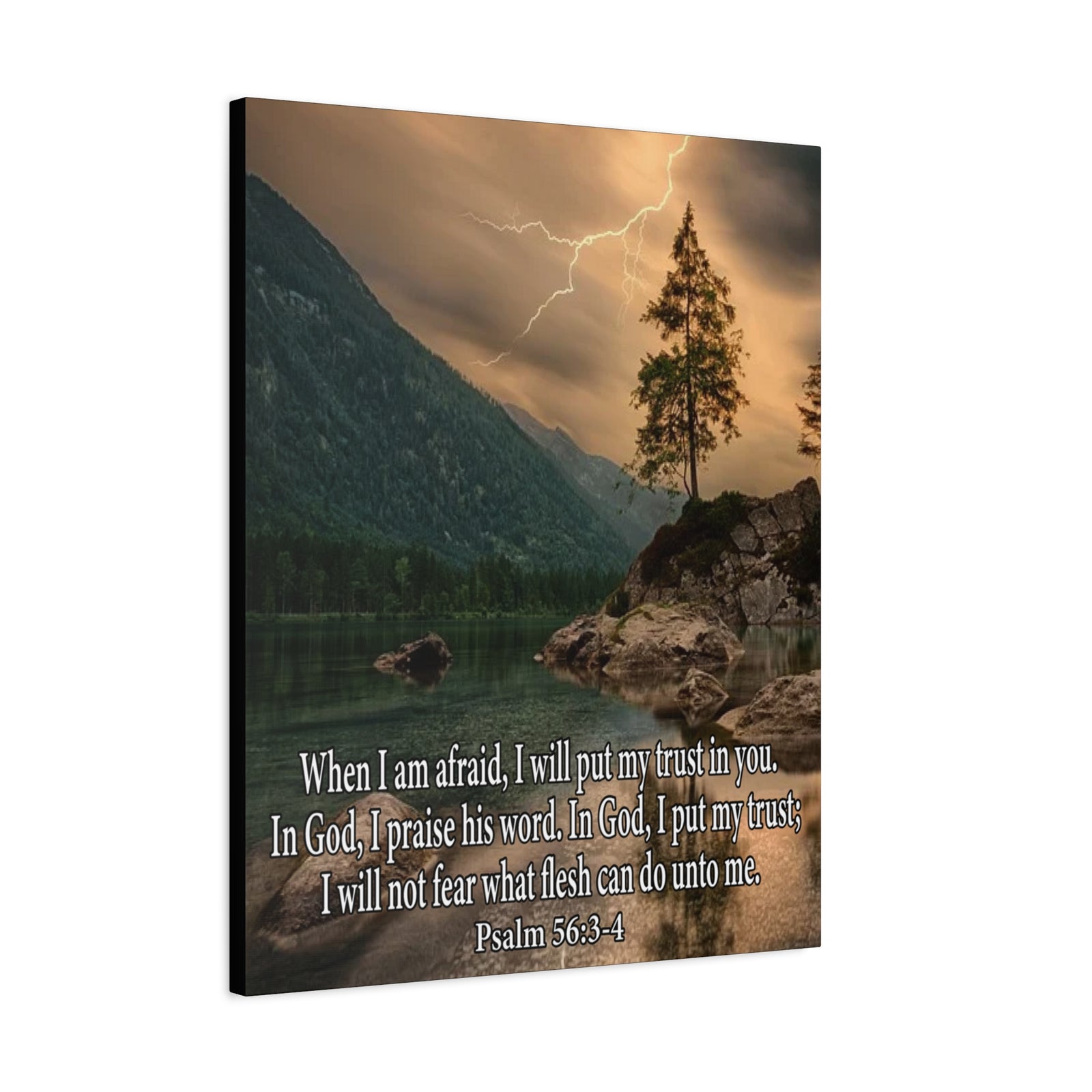 Scripture Canvas I Put My Trust in You Psalm 56:3-4 Christian Wall Art Bible Verse Print Ready to Hang-Express Your Love Gifts