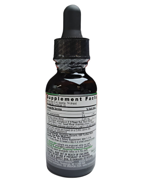 Nature’s Answer Schisandra Berry Extract, Alcohol-Free, 1 fl oz Liquid Supplement, Exp. 01/2028-Express Your Love Gifts