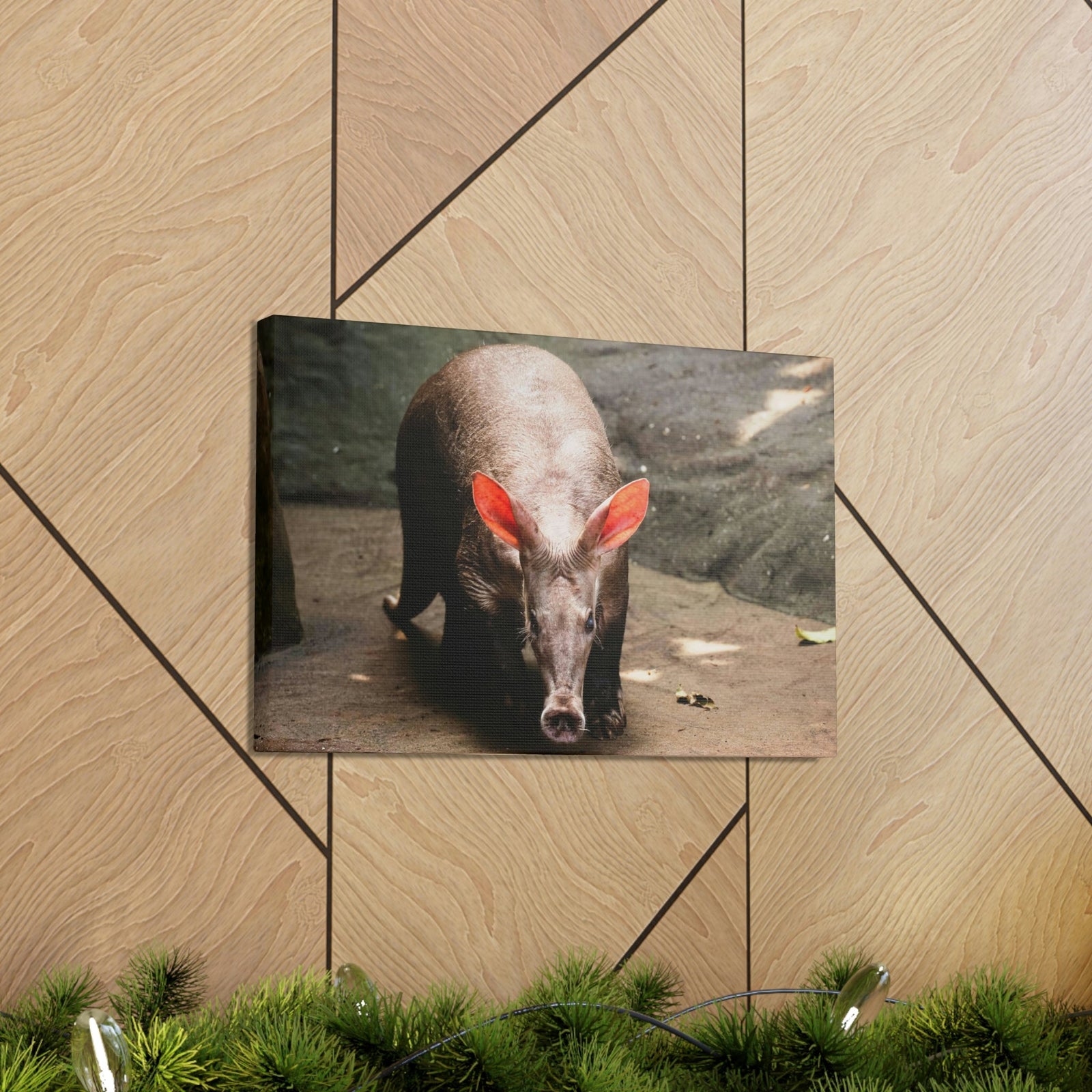 Aardvark On The Move Staring Aardvark Outdoor Wall Art Ready to Hang Unframed-Express Your Love Gifts