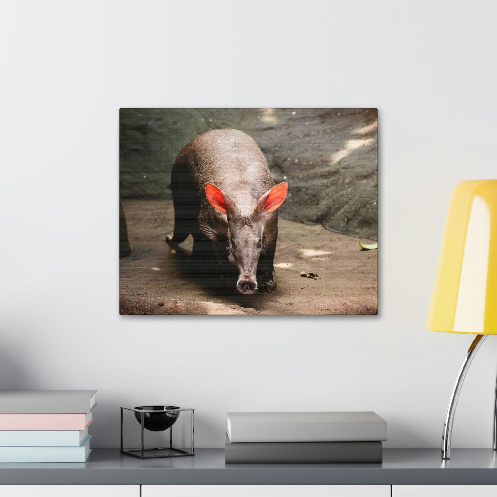 Aardvark On The Move Staring Aardvark Outdoor Wall Art Ready to Hang Unframed-Express Your Love Gifts