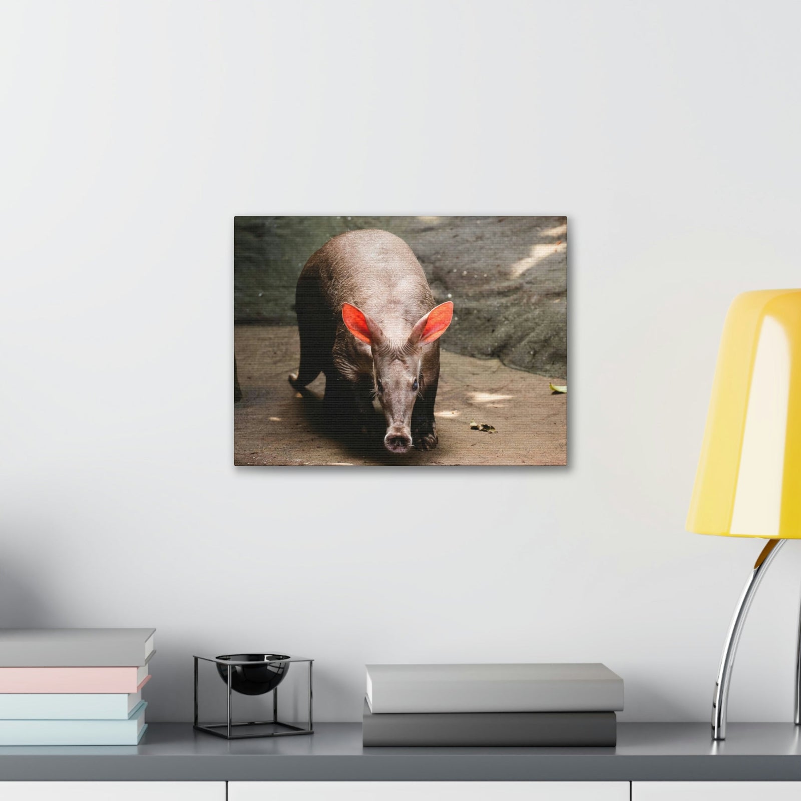 Aardvark On The Move Staring Aardvark Outdoor Wall Art Ready to Hang Unframed-Express Your Love Gifts