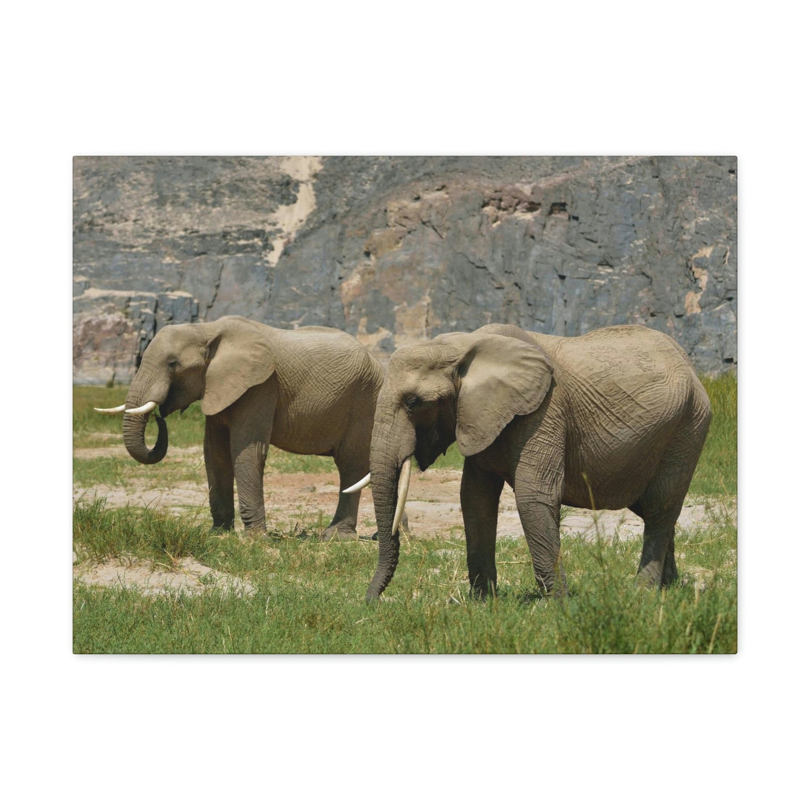 Scripture Walls African Elephant Couple African Elephant Troop Print Animal Wall Art Wildlife Canvas Prints Wall Art Ready to Hang Unframed-Express Your Love Gifts