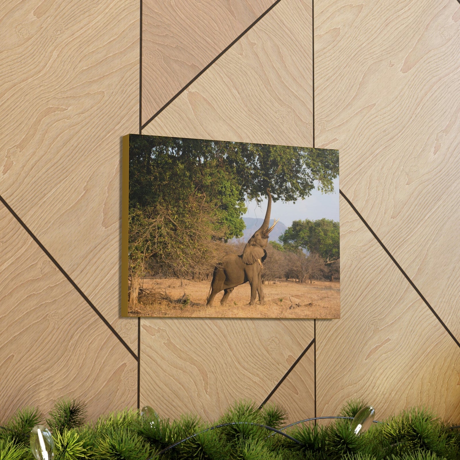 African Elephant Reaching Food Using Trunk Hungry African Elephant Outdoor Wall Art Ready to Hang Unframed-Express Your Love Gifts