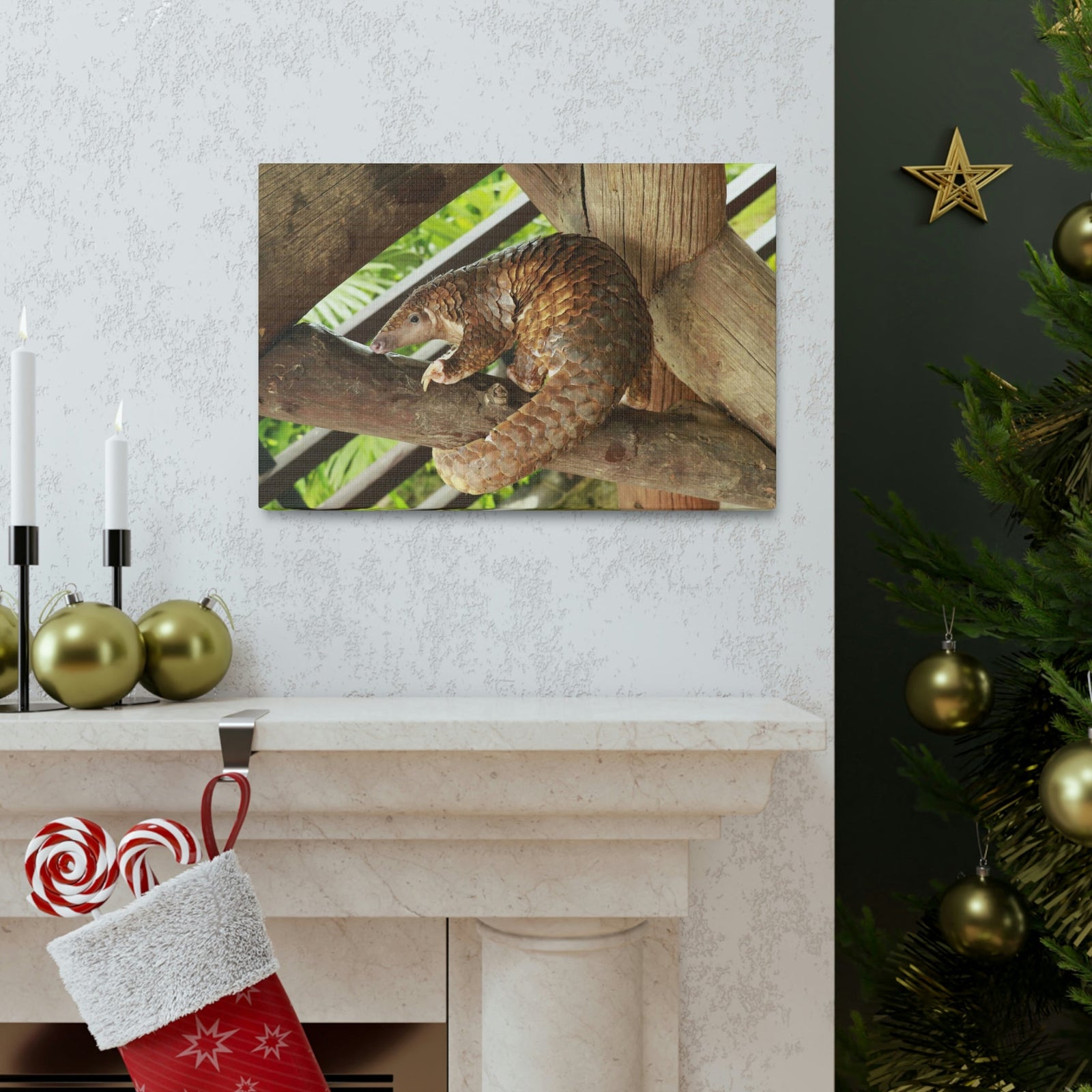 African Tree Pangolin Hanging On The Tree Staring African Tree Pangolin Outdoor Wall Art Ready To Hang Unframed-Express Your Love Gifts