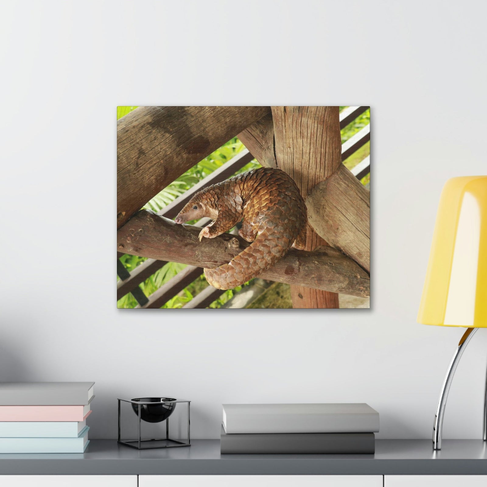 African Tree Pangolin Hanging On The Tree Staring African Tree Pangolin Outdoor Wall Art Ready To Hang Unframed-Express Your Love Gifts