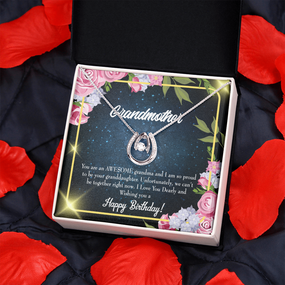 To My Grandmother Birthday Gift From Granddaughter Lucky Horseshoe Necklace Message Card 14k w CZ Crystals-Express Your Love Gifts