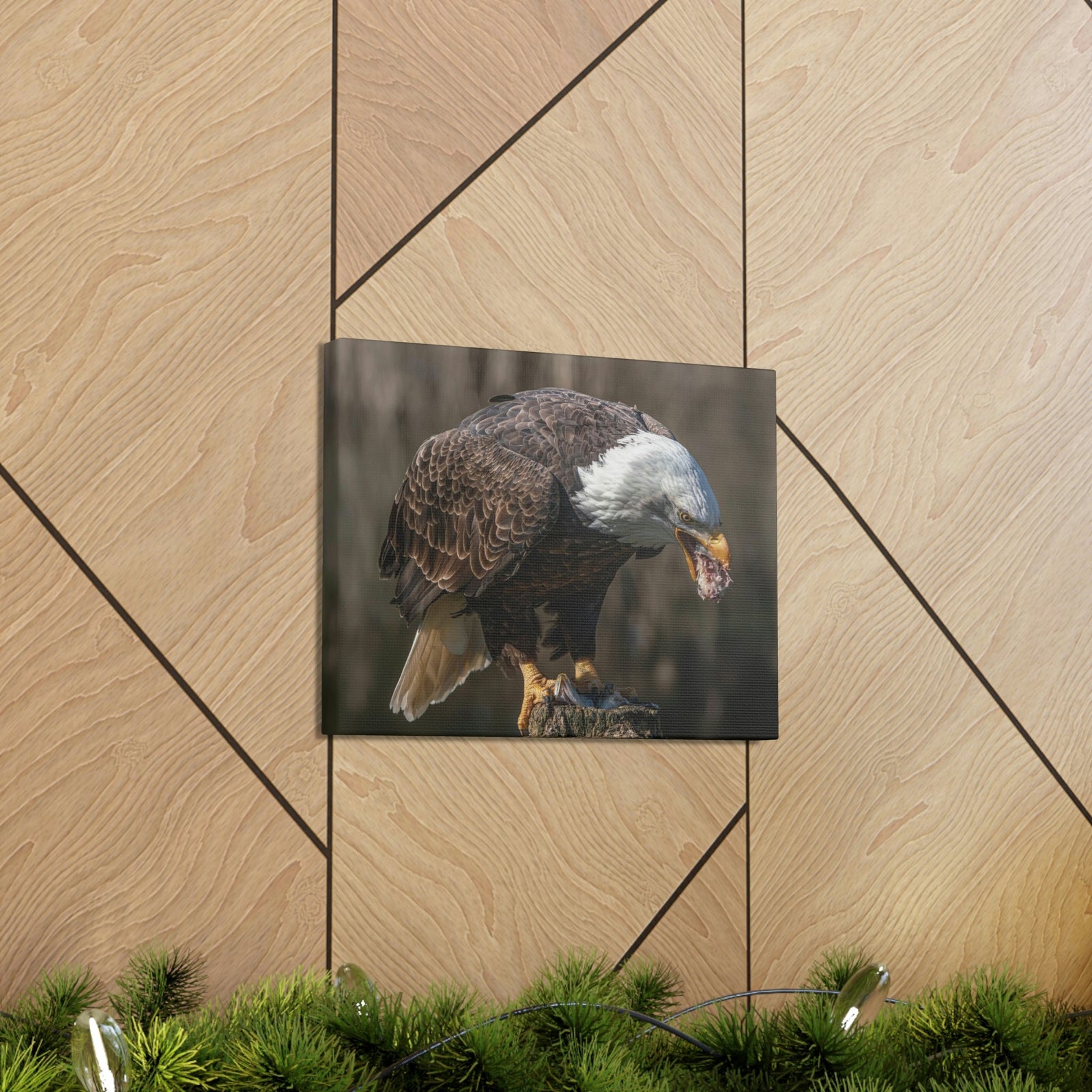 Scripture Walls Bald Eagle Hunting Bald Eagle on Hunt Print Animal Wall Art Wildlife Canvas Prints Wall Art Ready to Hang Unframed-Express Your Love Gifts
