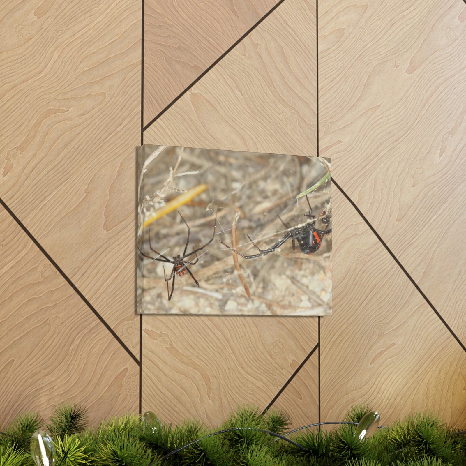 Scripture Walls Black Widow Couple Black Widow Troop Print Animal Wall Art Wildlife Canvas Prints Wall Art Ready to Hang Unframed-Express Your Love Gifts