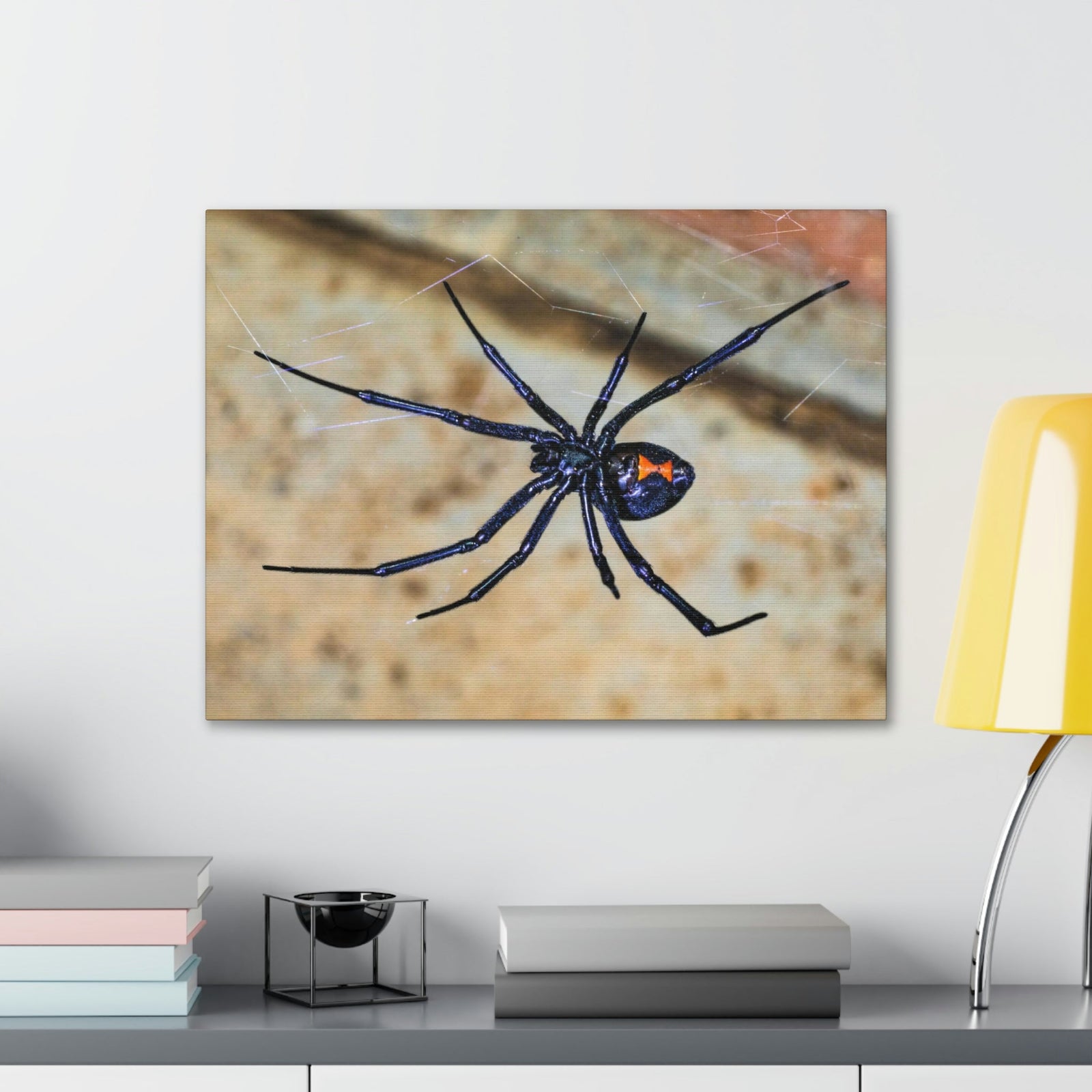 Scripture Walls Black Widow Hunting Black Widow on Hunt Print Animal Wall Art Wildlife Canvas Prints Wall Art Ready to Hang Unframed-Express Your Love Gifts
