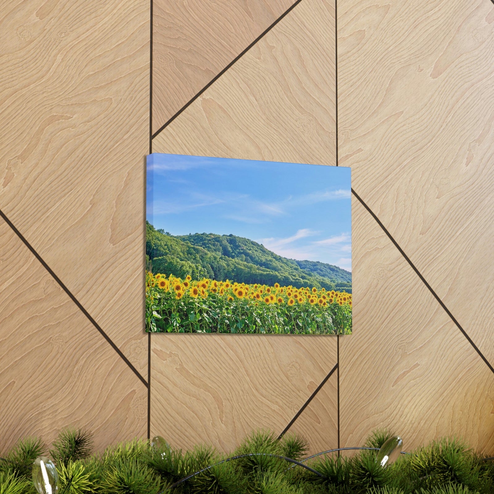 Charming Sunflower on the Field Scene Beautiful Lovely and Gorgeous Flowers Beauty Nature Scene Sunflower on a Sunny Day Wall Art Ready to Hang Unframed-Express Your Love Gifts