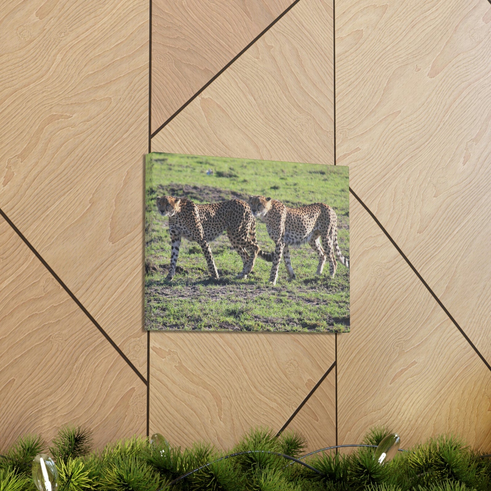 Scripture Walls Cheetah Couple Cheetah Troop Print Animal Wall Art Wildlife Canvas Prints Wall Art Ready to Hang Unframed-Express Your Love Gifts