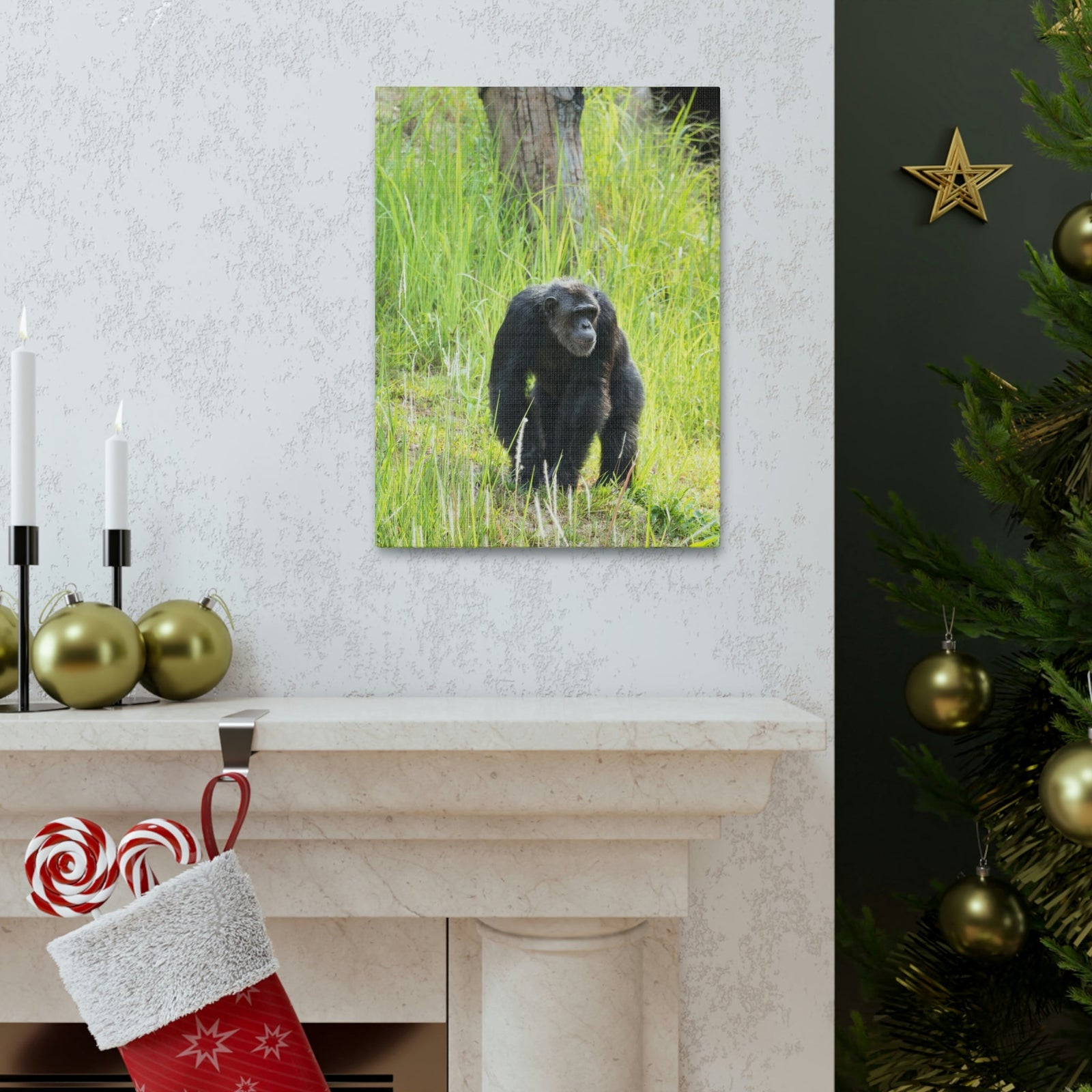 Scripture Walls Chimpanzee Hunting Chimpanzee on Hunt Print Animal Wall Art Wildlife Canvas Prints Wall Art Ready to Hang Unframed-Express Your Love Gifts