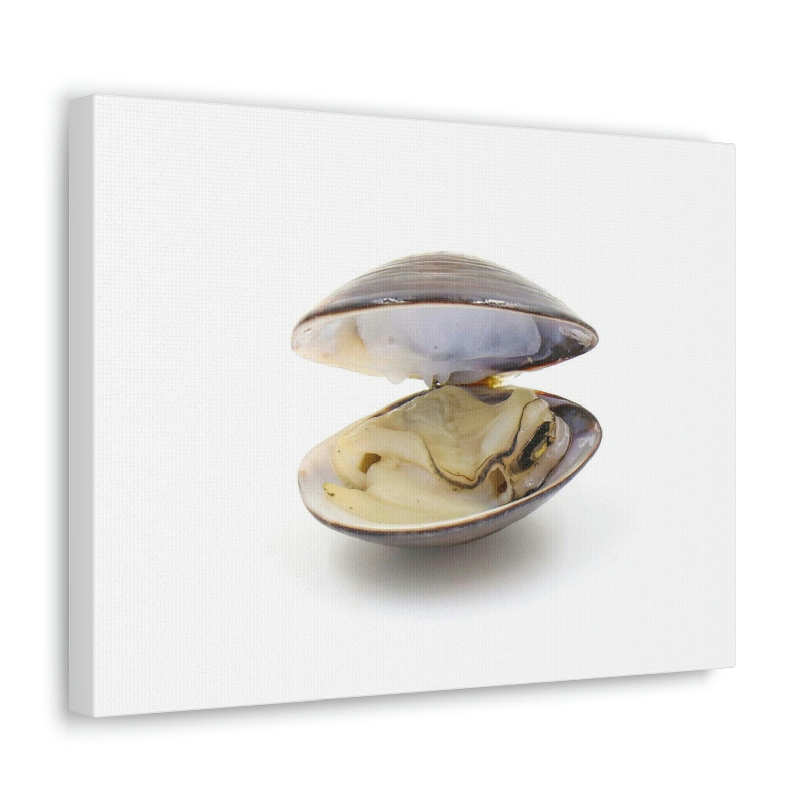 Scripture Walls Clam Hunting Clam on Hunt Print Animal Wall Art Wildlife Canvas Prints Wall Art Ready to Hang Unframed-Express Your Love Gifts