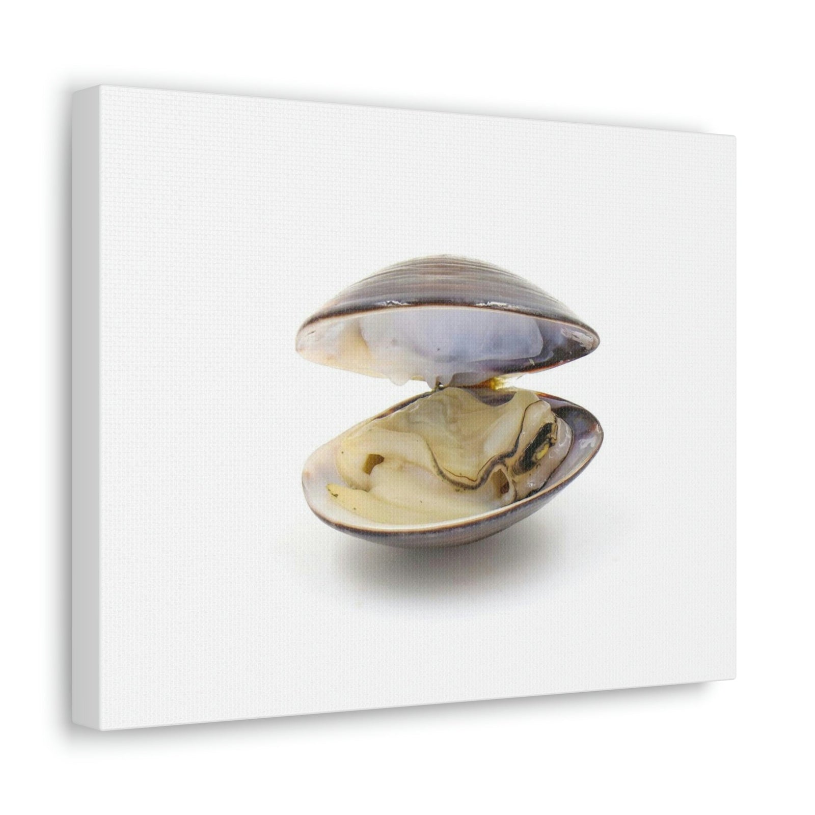 Scripture Walls Clam Hunting Clam on Hunt Print Animal Wall Art Wildlife Canvas Prints Wall Art Ready to Hang Unframed-Express Your Love Gifts