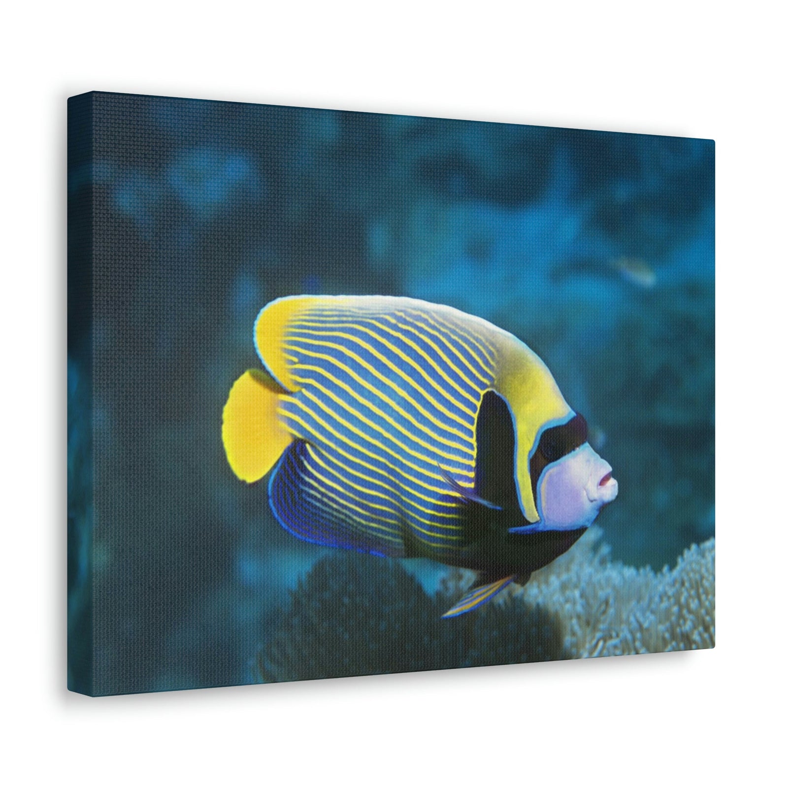 Colorful Angel Fish Glow In The Dark Angel Fish Inside Wall Art Ready To Hang Unframed-Express Your Love Gifts