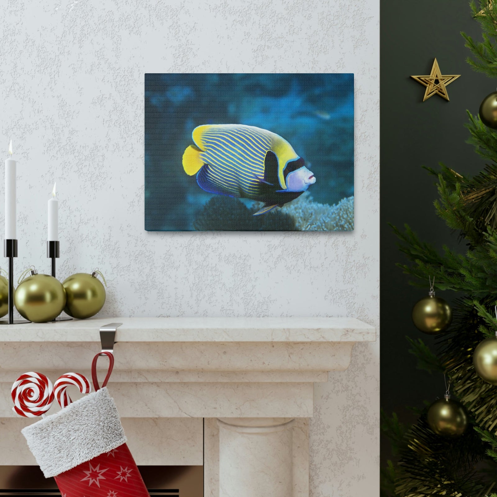 Colorful Angel Fish Glow In The Dark Angel Fish Inside Wall Art Ready To Hang Unframed-Express Your Love Gifts