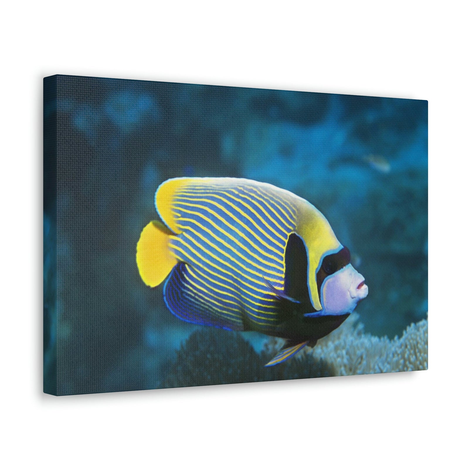 Colorful Angel Fish Glow In The Dark Angel Fish Inside Wall Art Ready To Hang Unframed-Express Your Love Gifts