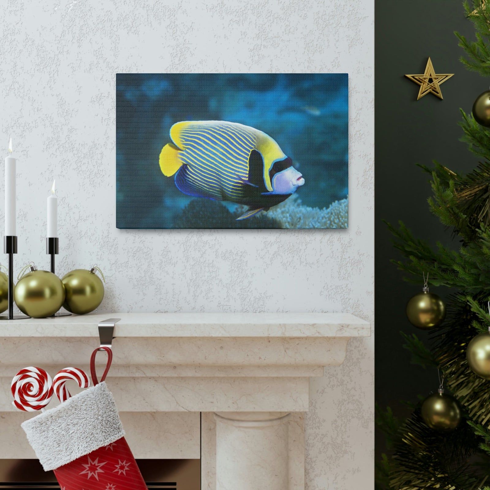 Colorful Angel Fish Glow In The Dark Angel Fish Inside Wall Art Ready To Hang Unframed-Express Your Love Gifts
