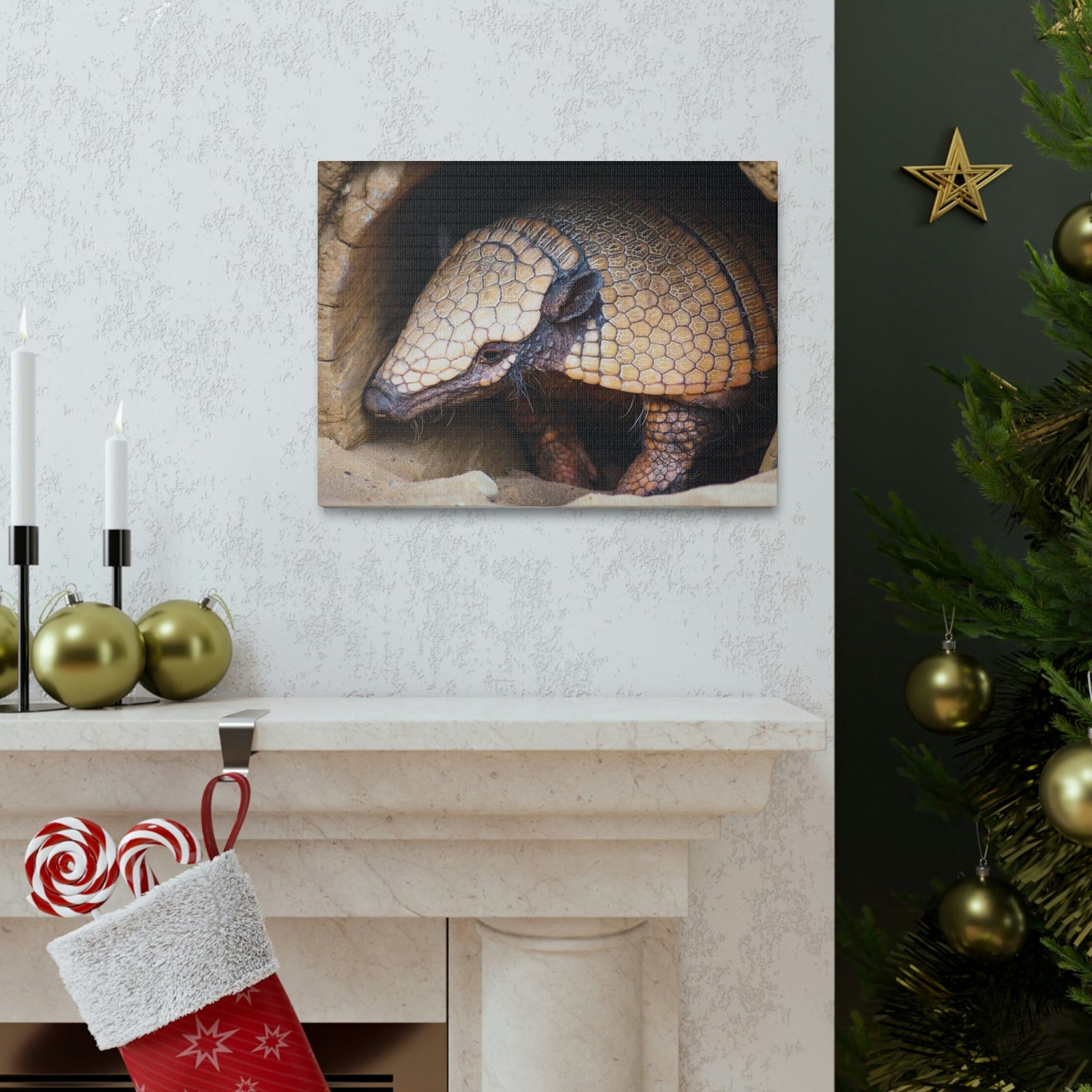 Coming Out Armadillo Portrait of Hairy Armadillo Wall Art Ready To Hang Unframed-Express Your Love Gifts