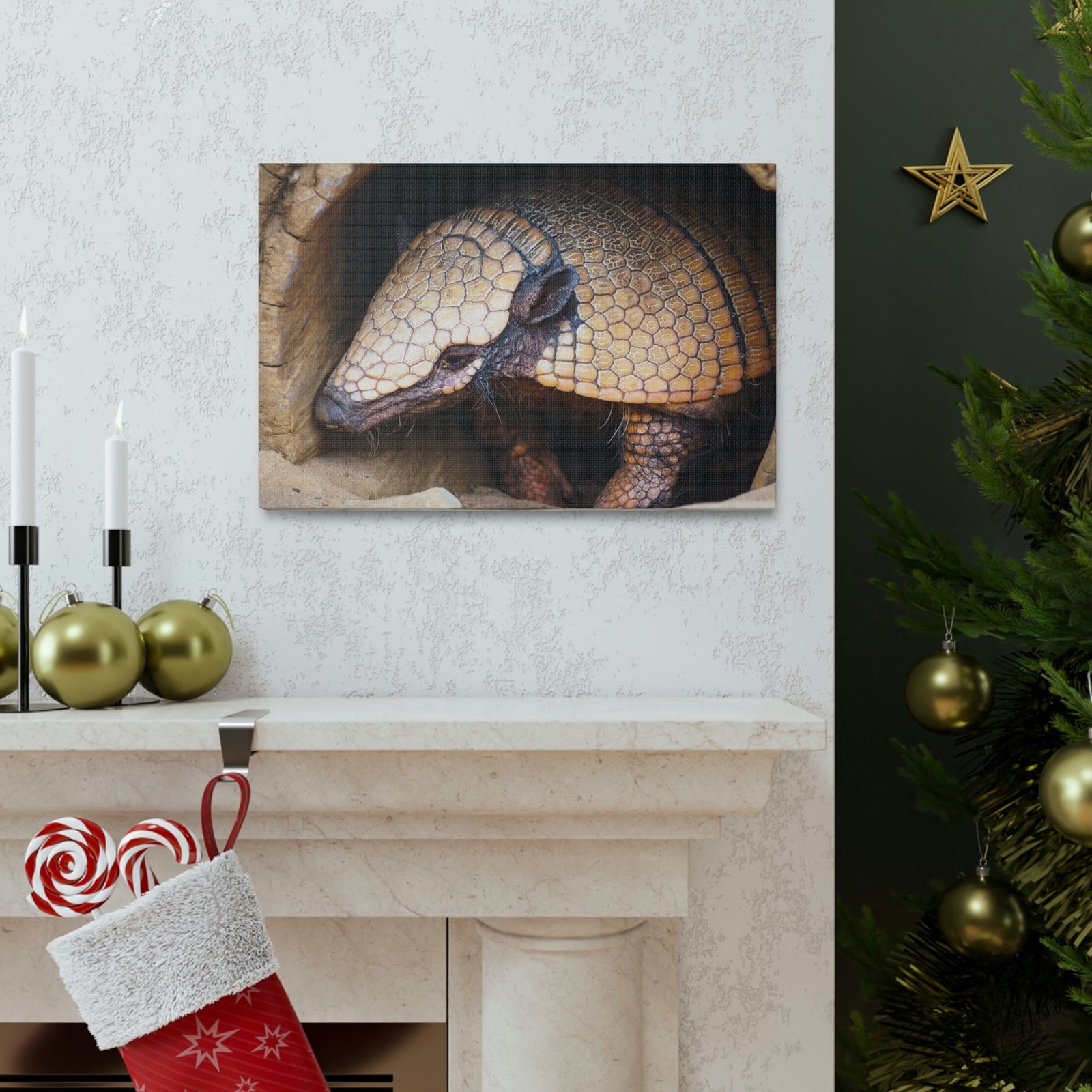 Coming Out Armadillo Portrait of Hairy Armadillo Wall Art Ready To Hang Unframed-Express Your Love Gifts