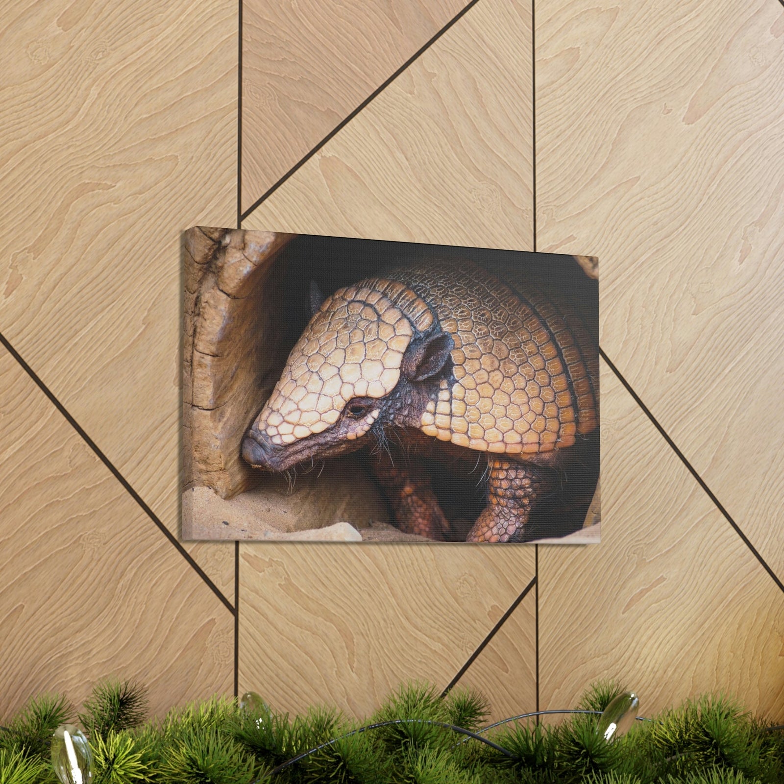 Coming Out Armadillo Portrait of Hairy Armadillo Wall Art Ready To Hang Unframed-Express Your Love Gifts