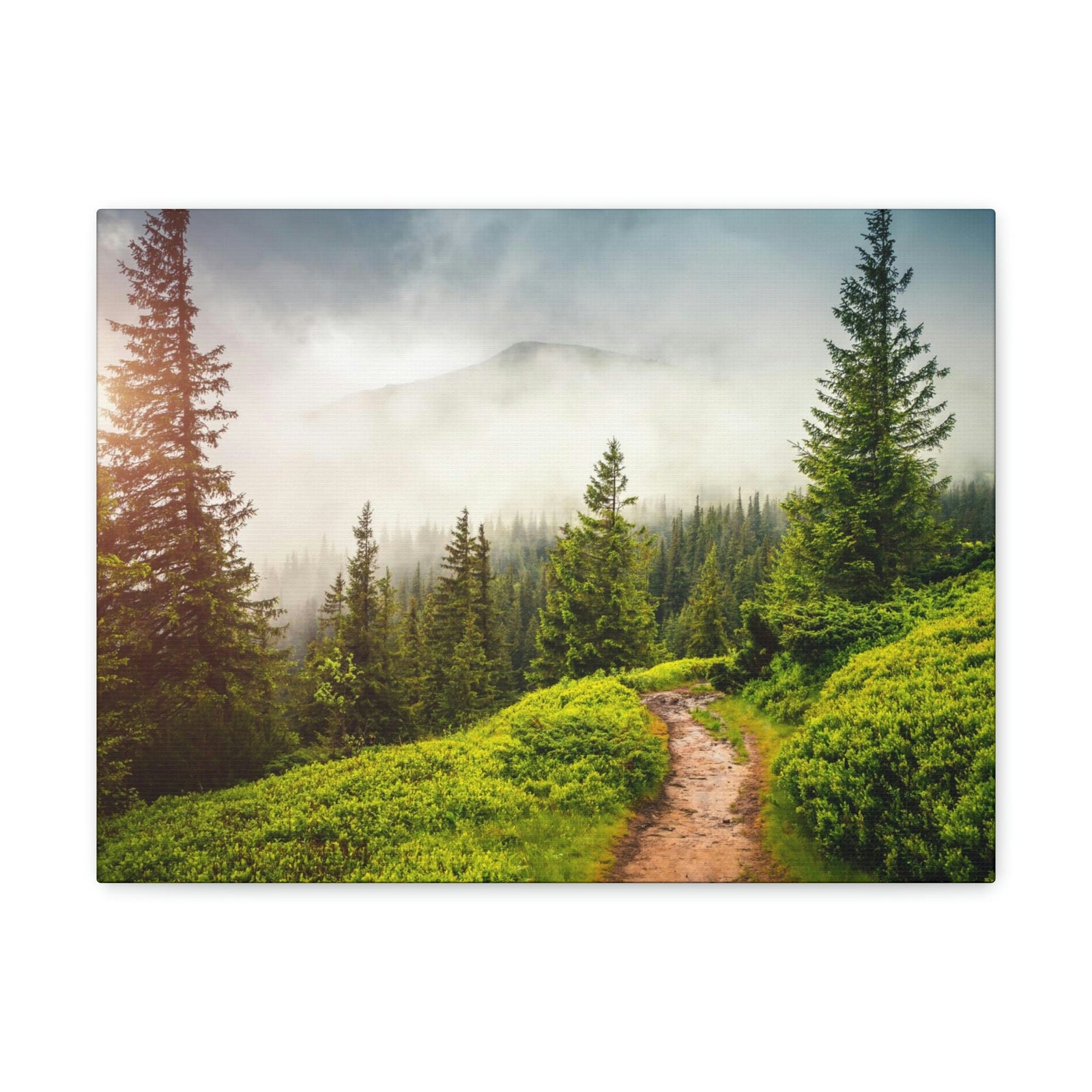 Coniferous Foggy Forest Scene Beautiful Fabulous and Mysterious Path Beauty Nature Scene Big Trees and Fogs Wall Art Ready to Hang Unframed-Express Your Love Gifts