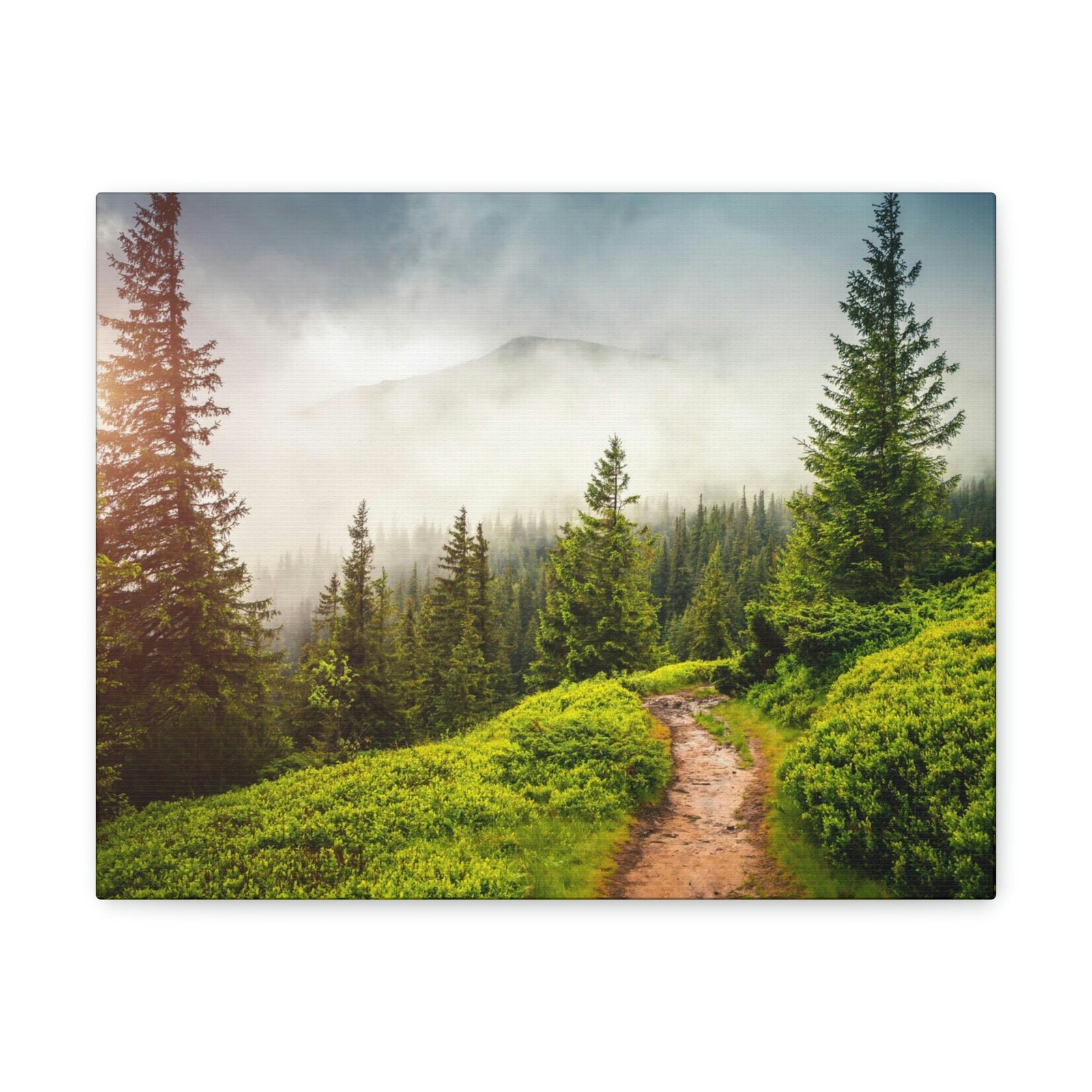 Coniferous Foggy Forest Scene Beautiful Fabulous and Mysterious Path Beauty Nature Scene Big Trees and Fogs Wall Art Ready to Hang Unframed-Express Your Love Gifts