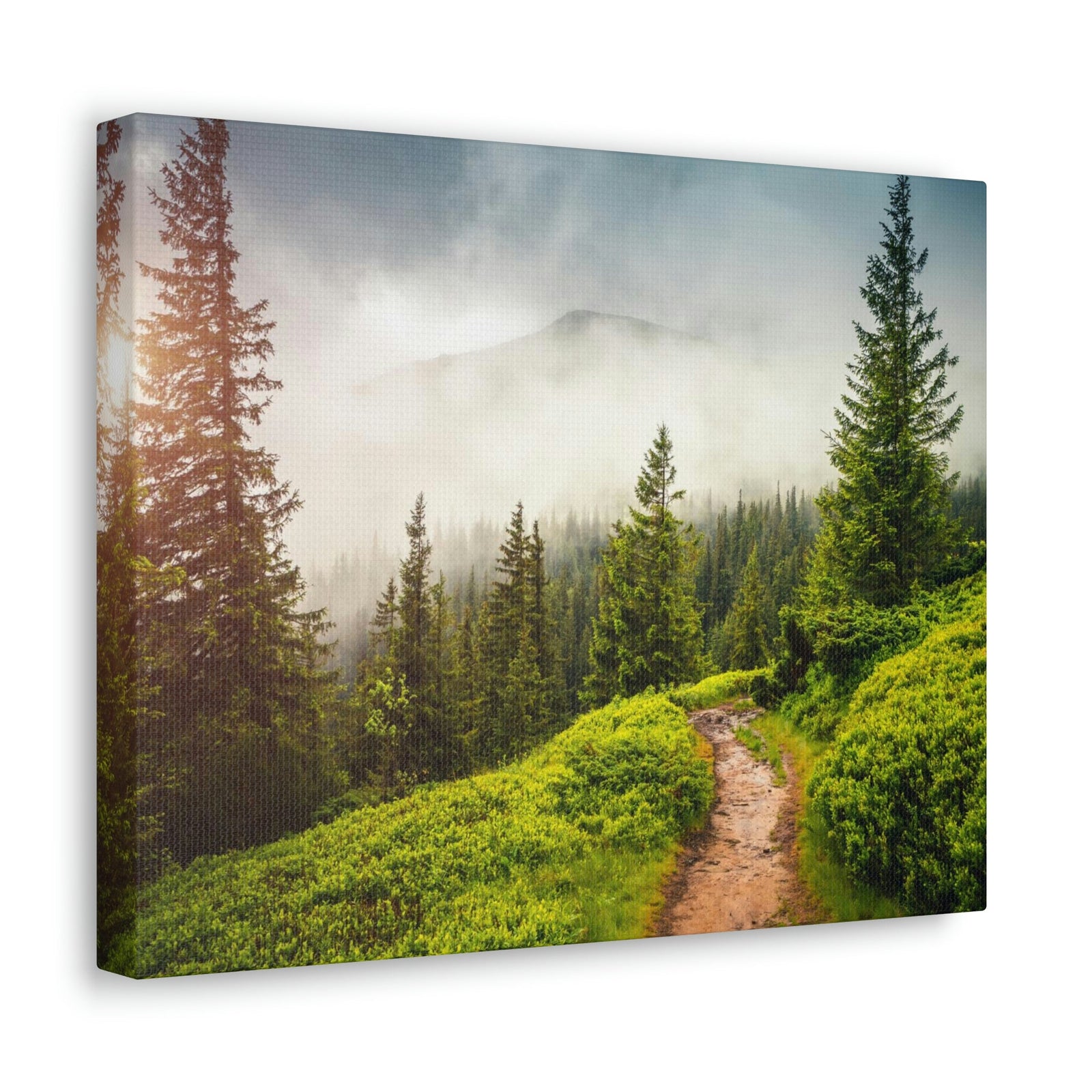 Coniferous Foggy Forest Scene Beautiful Fabulous and Mysterious Path Beauty Nature Scene Big Trees and Fogs Wall Art Ready to Hang Unframed-Express Your Love Gifts