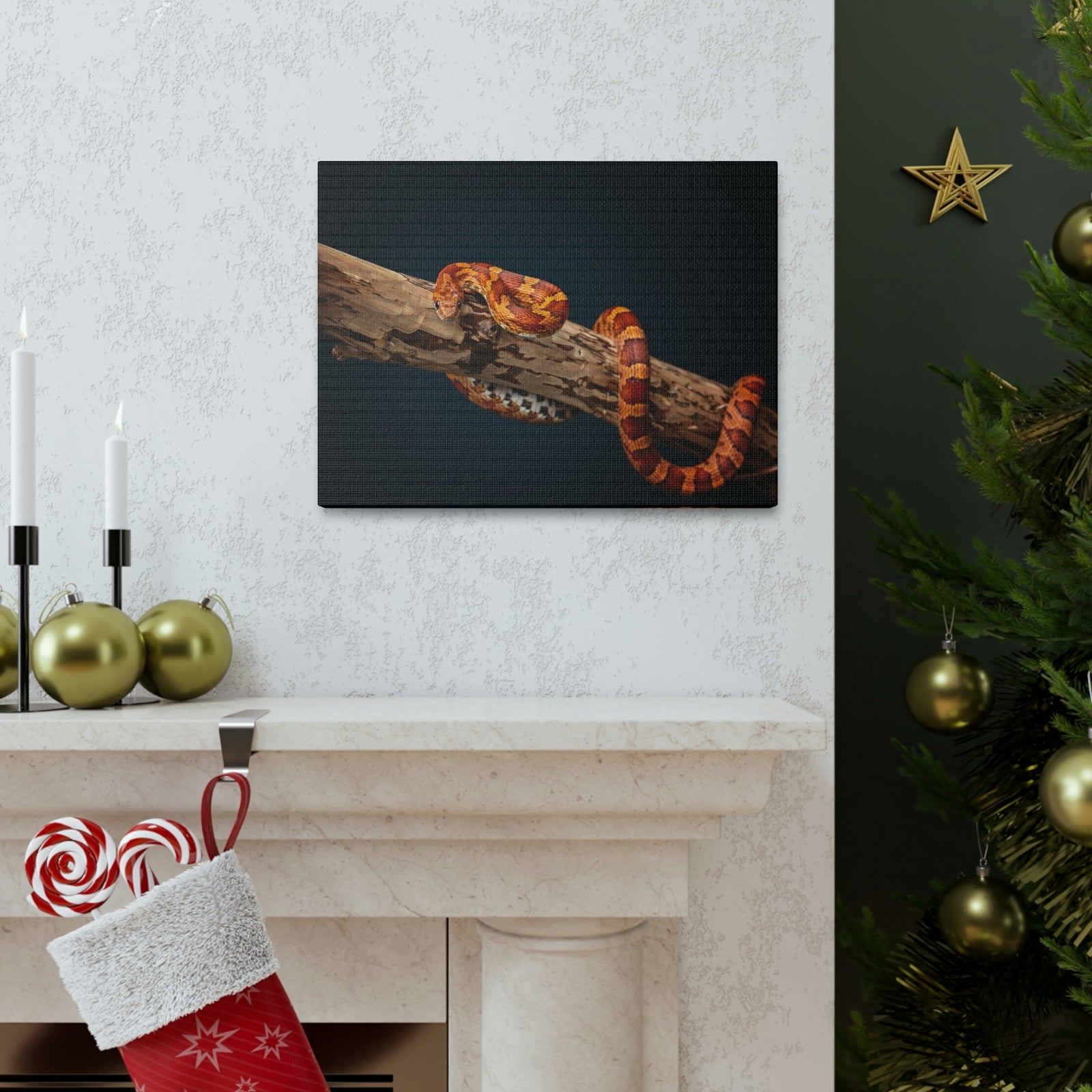 Scripture Walls Corn Snake Hunting Corn Snake on Hunt Print Animal Wall Art Wildlife Canvas Prints Wall Art Ready to Hang Unframed-Express Your Love Gifts